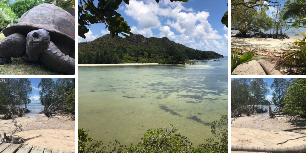 Praslin – Curieuse
