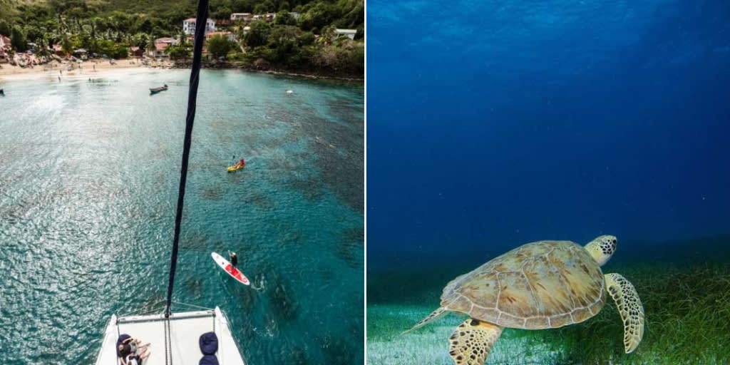 Snorkeling en Martinique