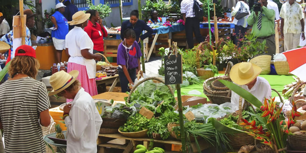 6 Ways to Go Greener While Sailing