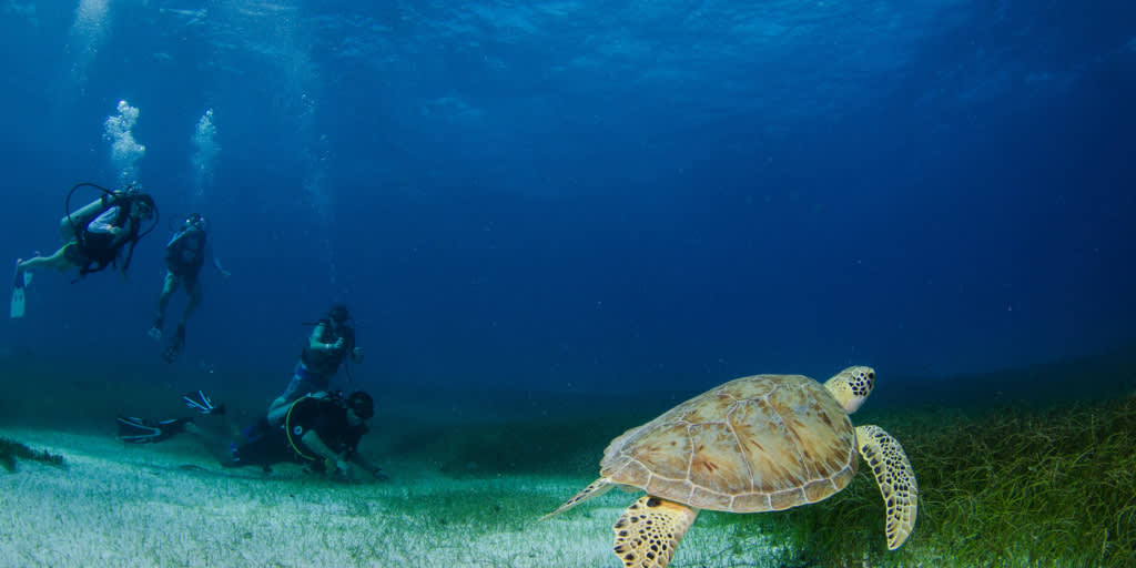 Seis Lugares Para Hacer Snorkeling en Puerto Rico