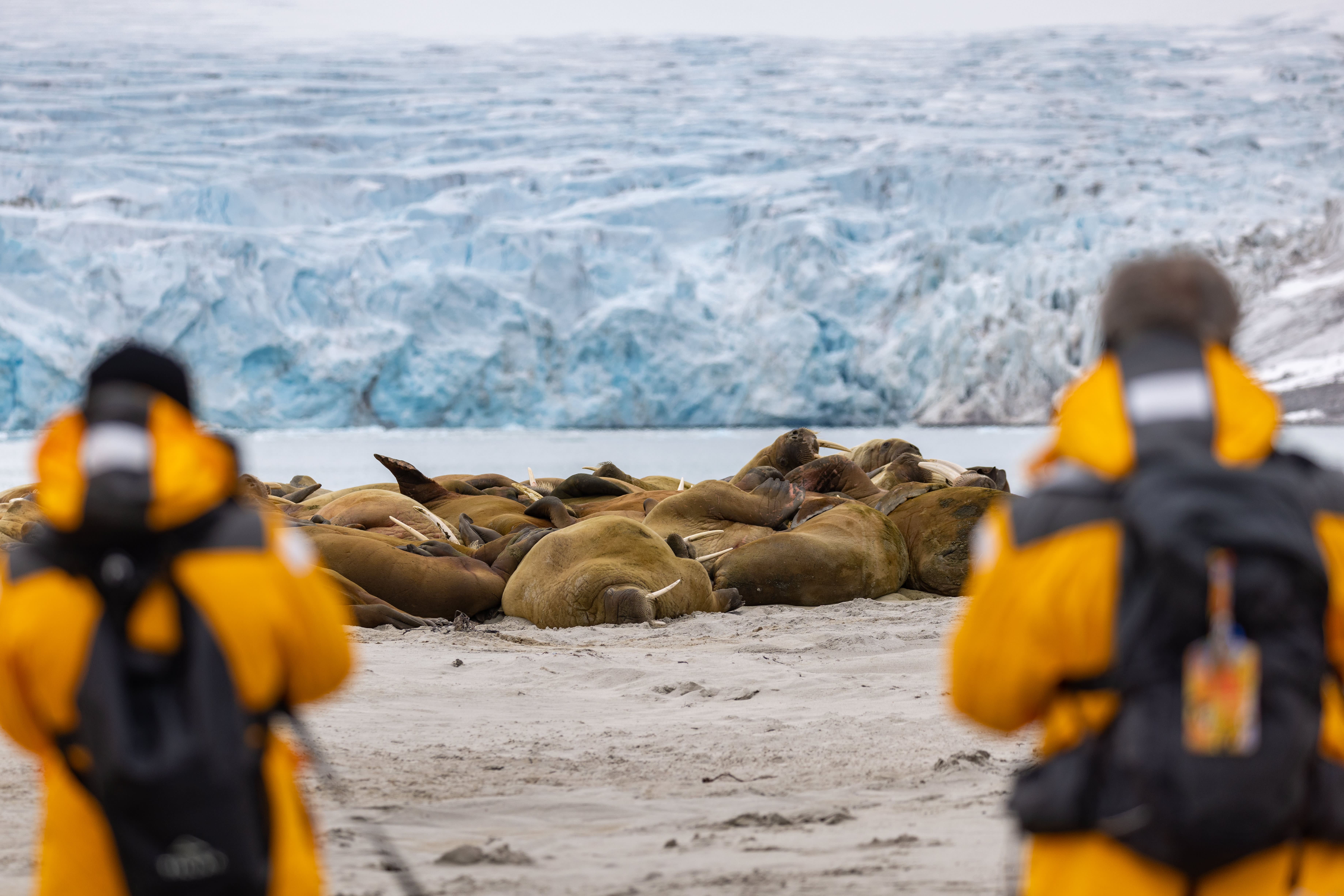 Spitsbergen Circumnavigation: A Rite of Passage