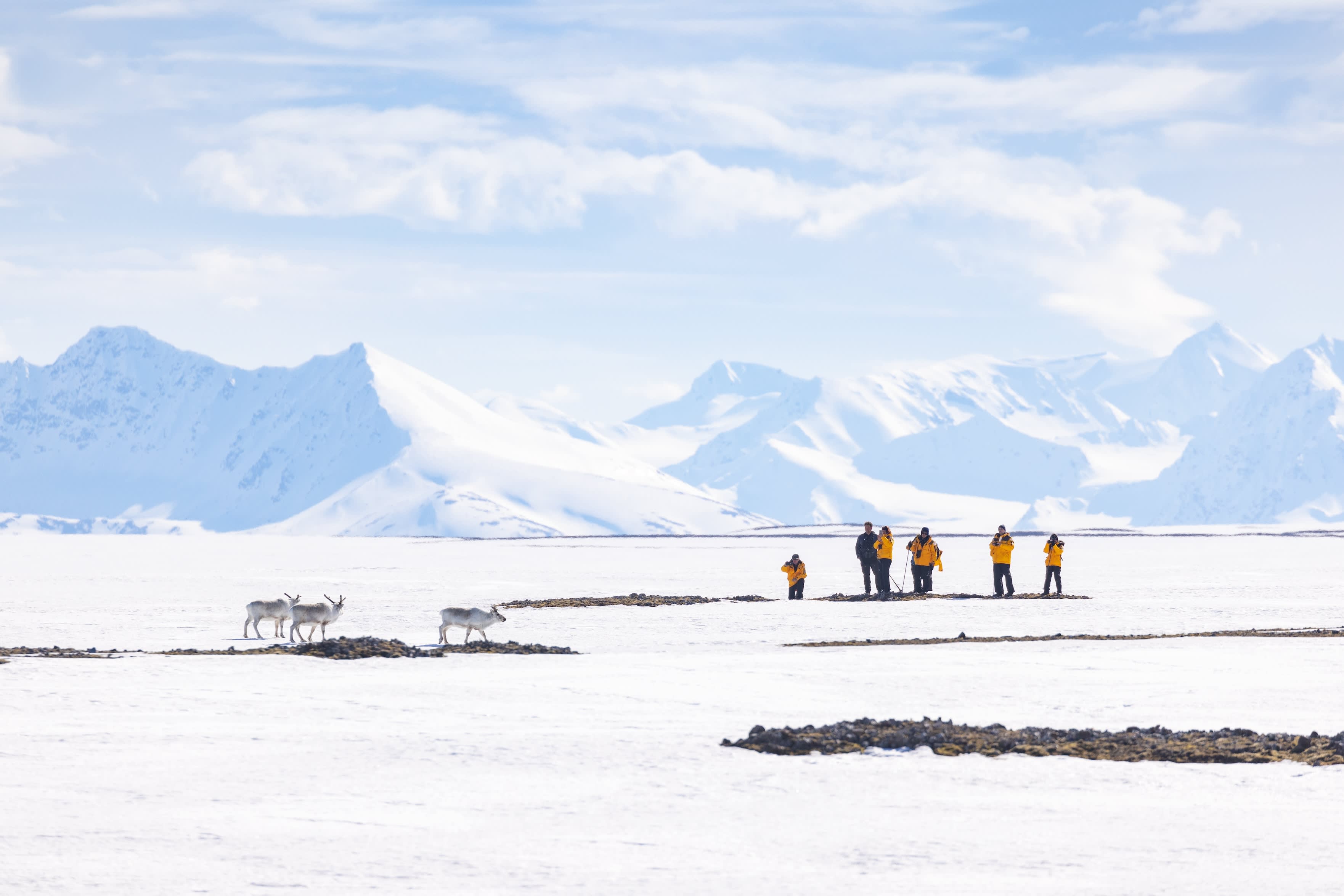 Svalbard Explorer: Best of High Arctic Norway
