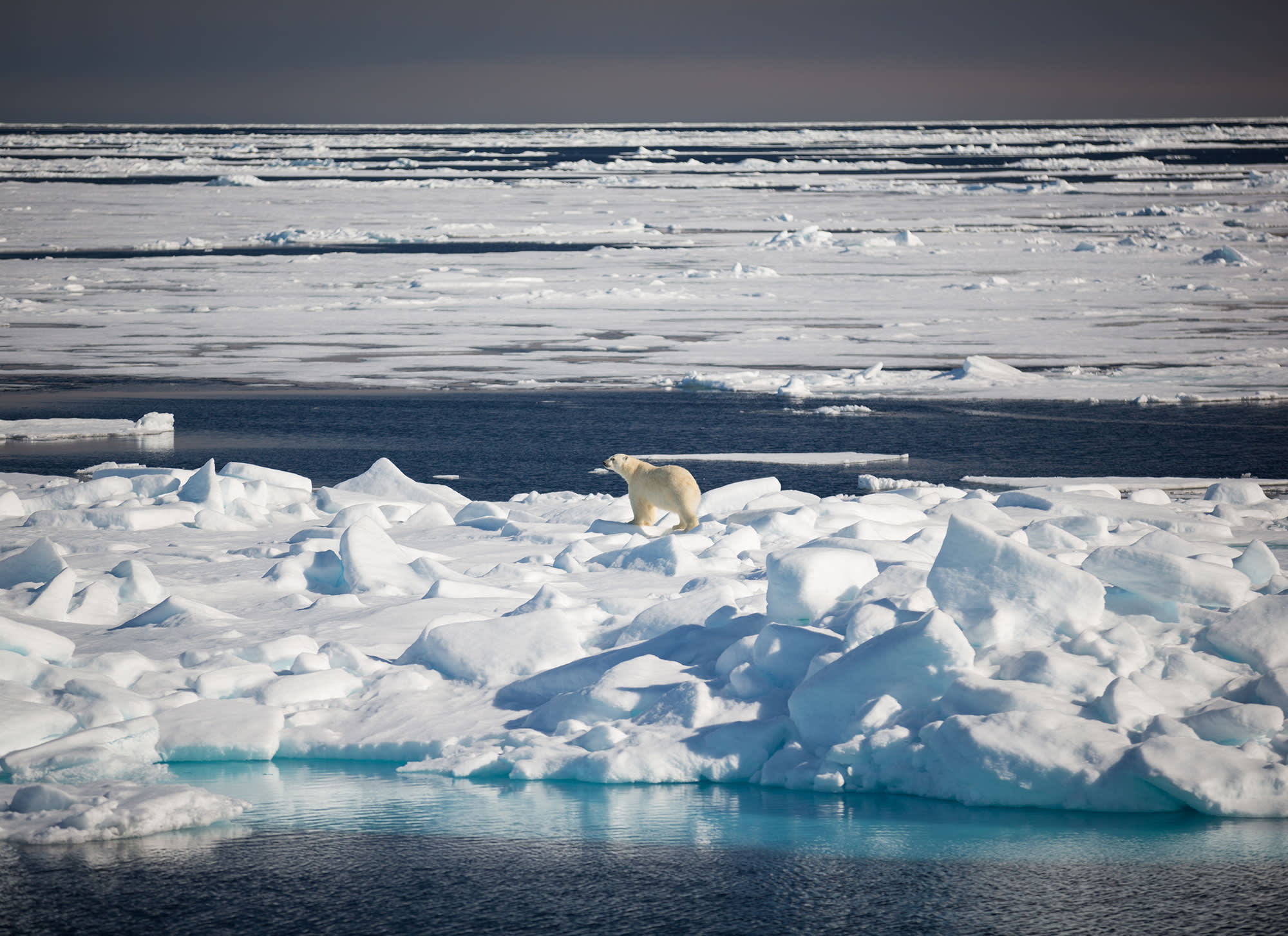 Svalbard Explorer: Best of High Arctic Norway