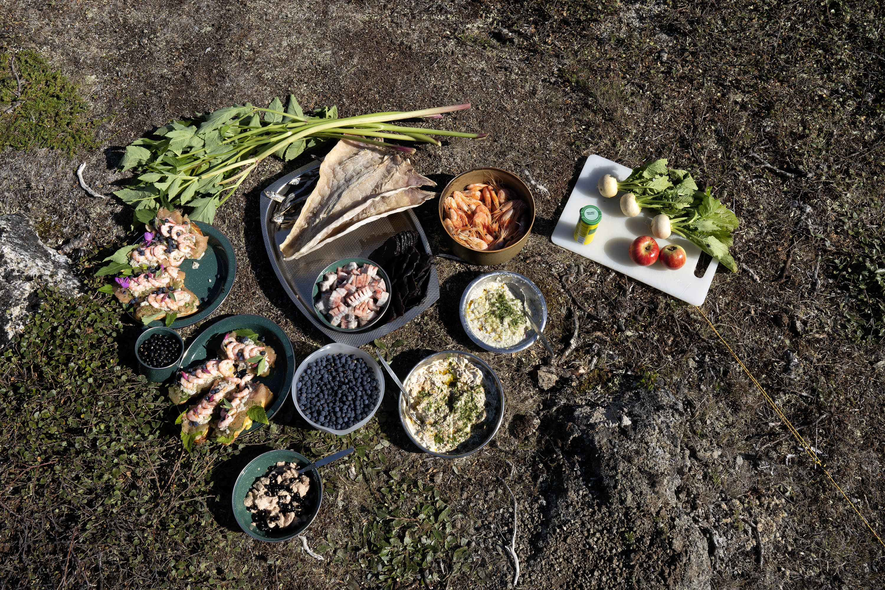 South Greenland Adventure: The Majestic Alpine Arctic