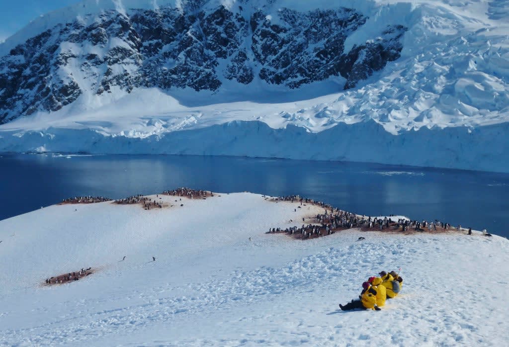 Quark passengers at Neko Harbour with penguins