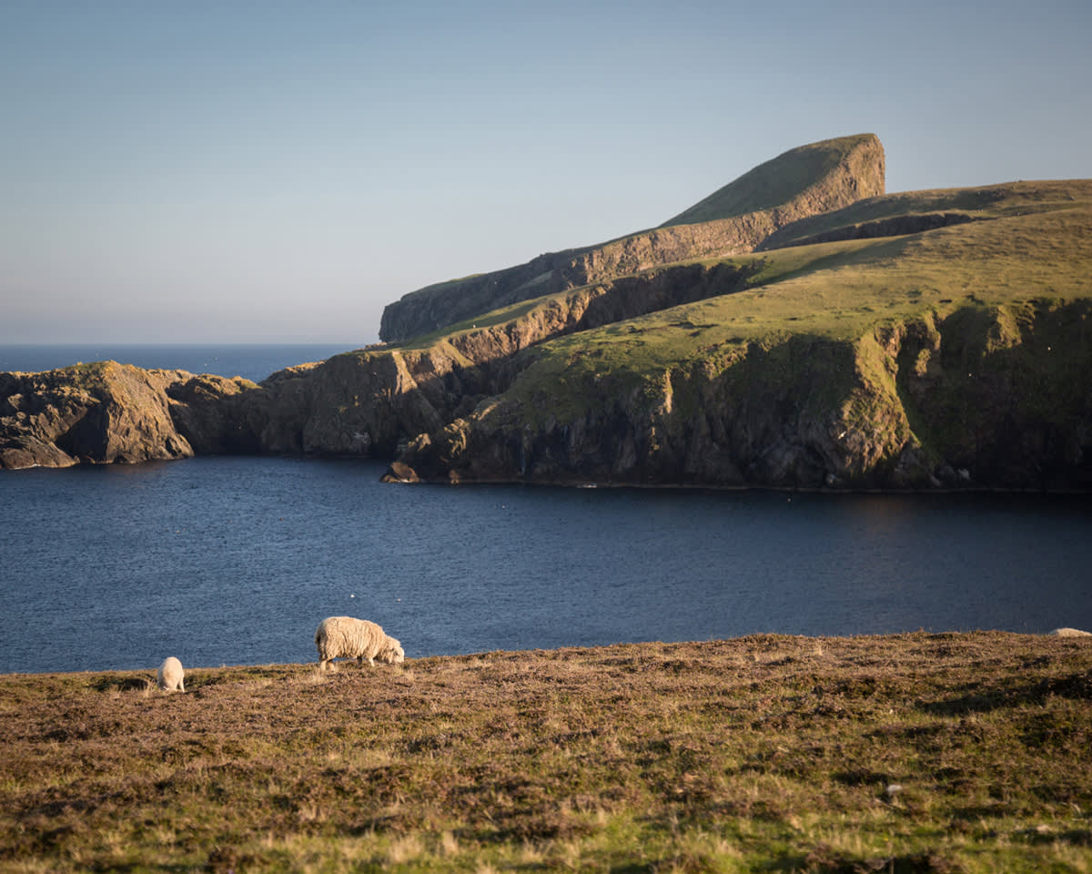 Arctic Saga: Exploring Spitsbergen via the Faroes and Jan Mayen