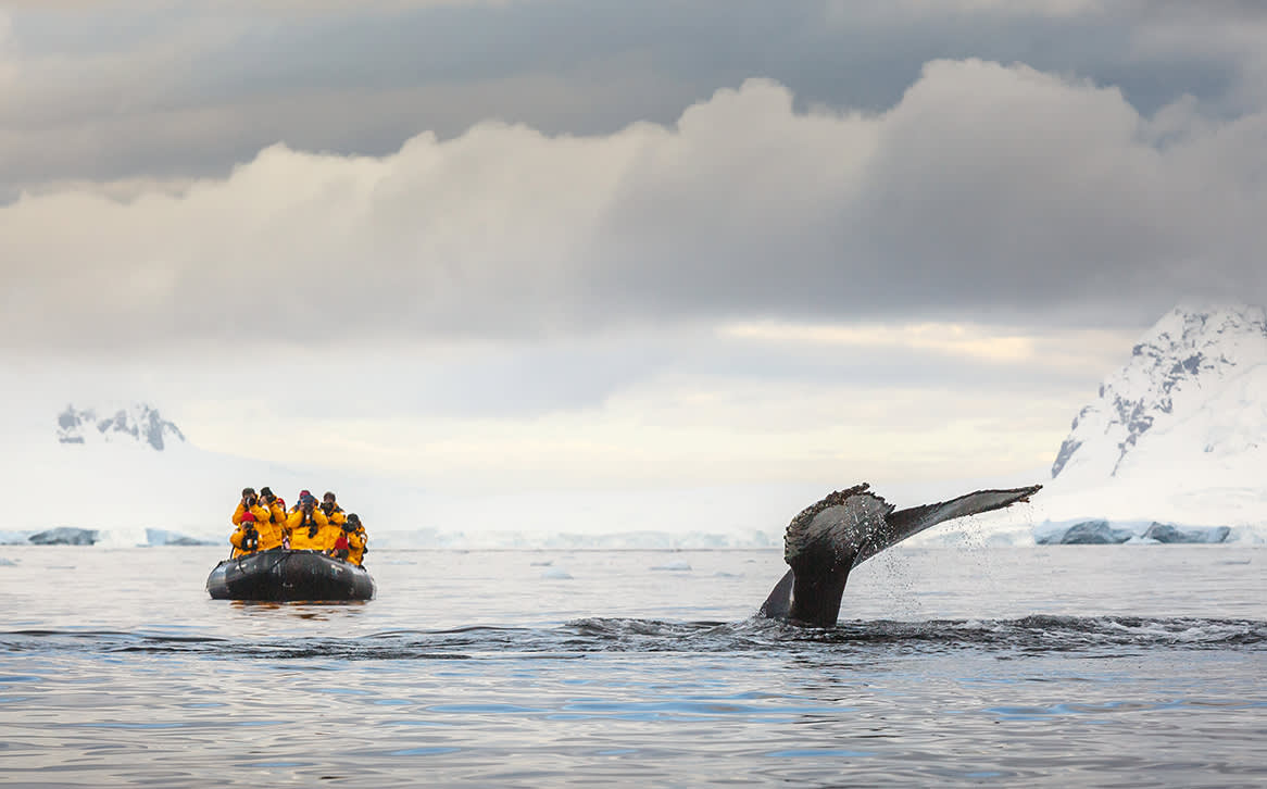 Antarctic Express: Crossing the Circle