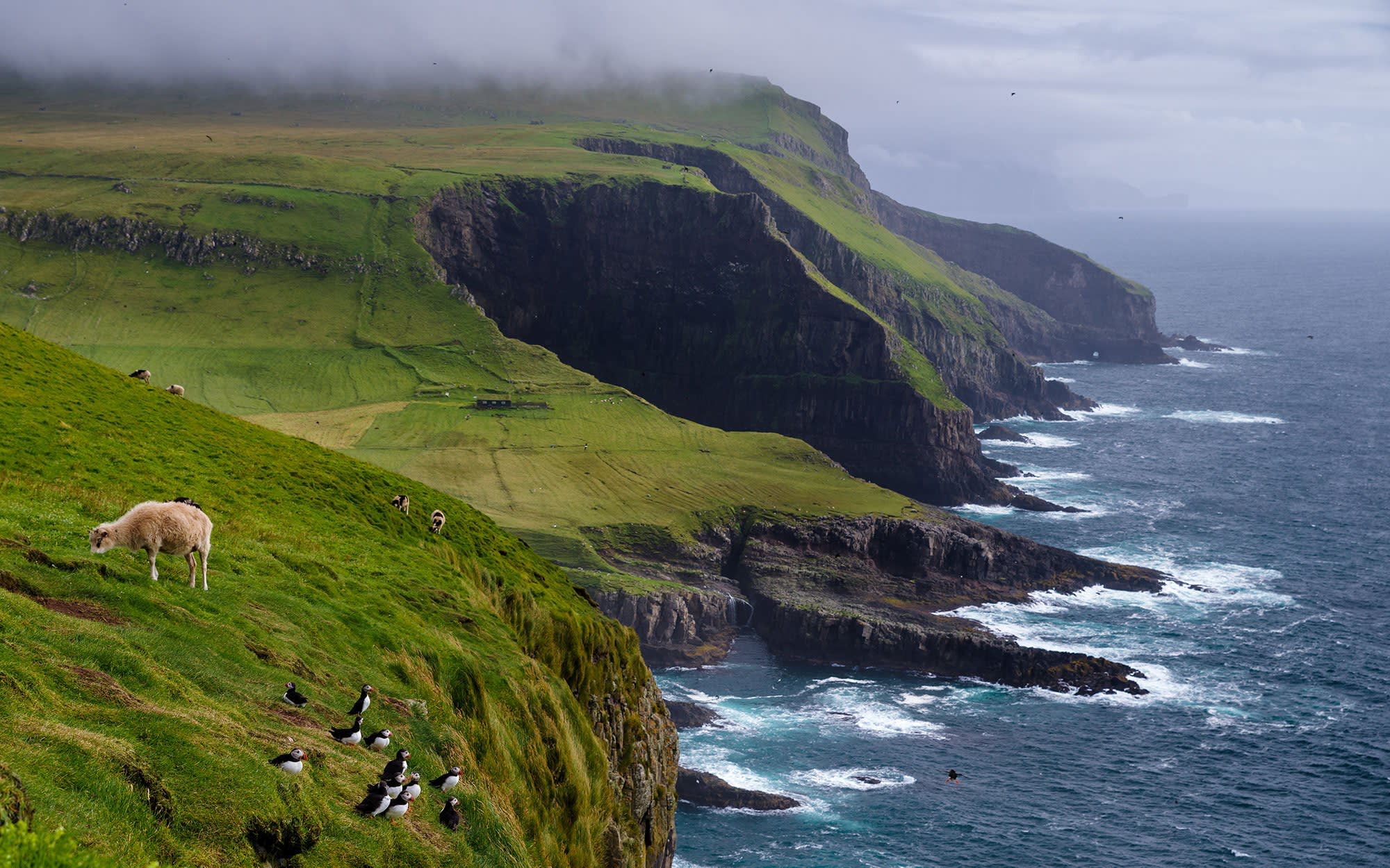 Arctic Saga: Exploring Spitsbergen via the Faroes and Jan Mayen