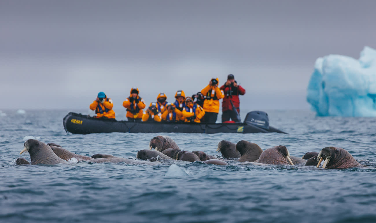 Arctic Saga: Exploring Spitsbergen via the Faroes and Jan Mayen