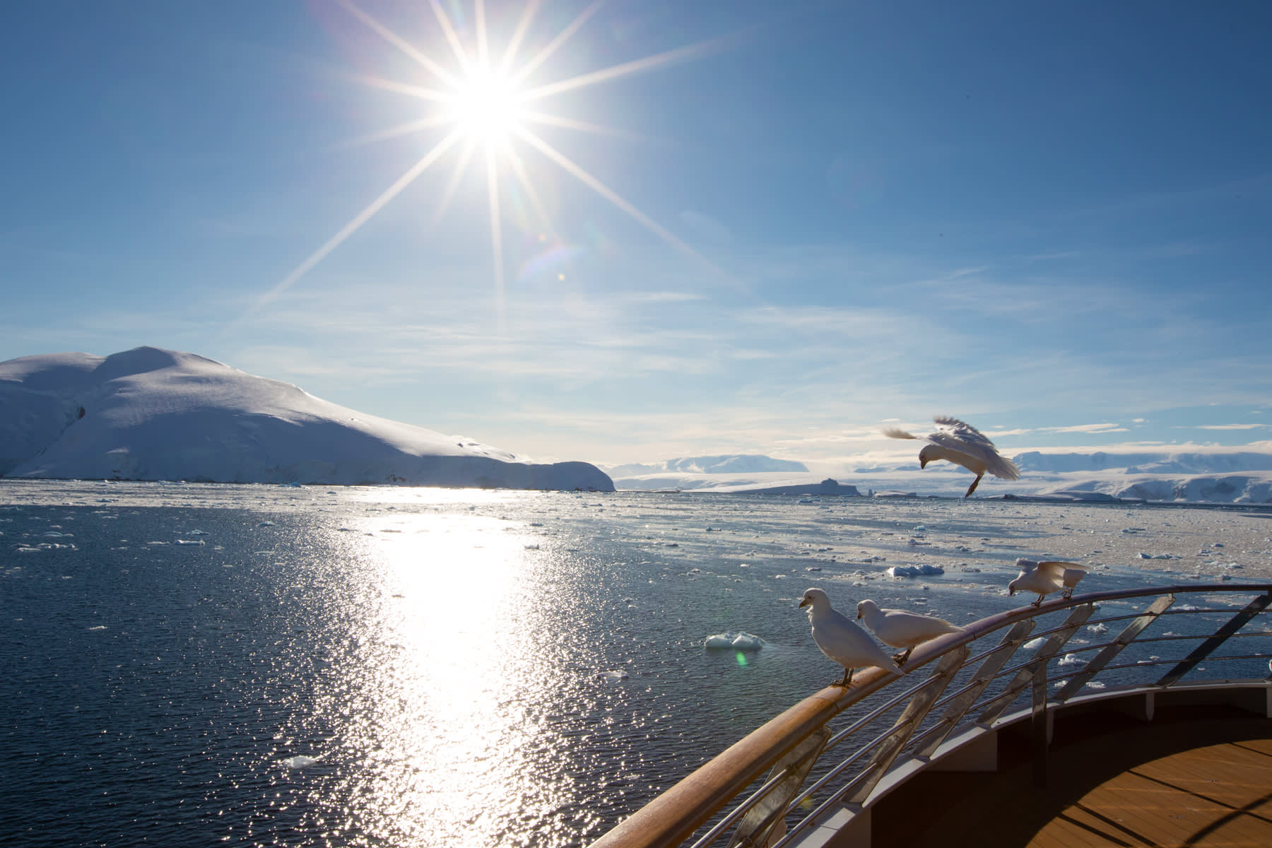 Antarctic Express: Sail South, Fly North