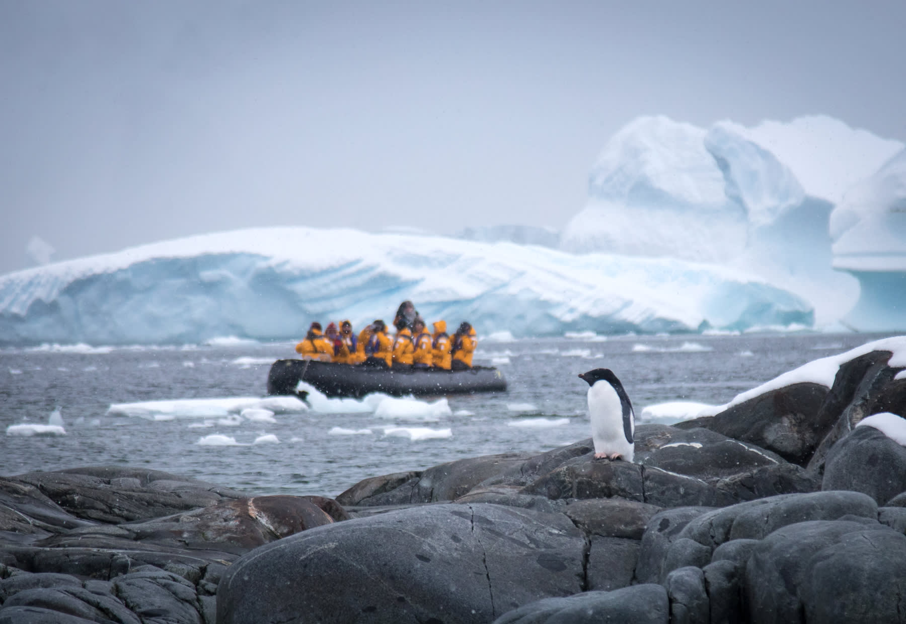 Antarctic Express: Sail South, Fly North