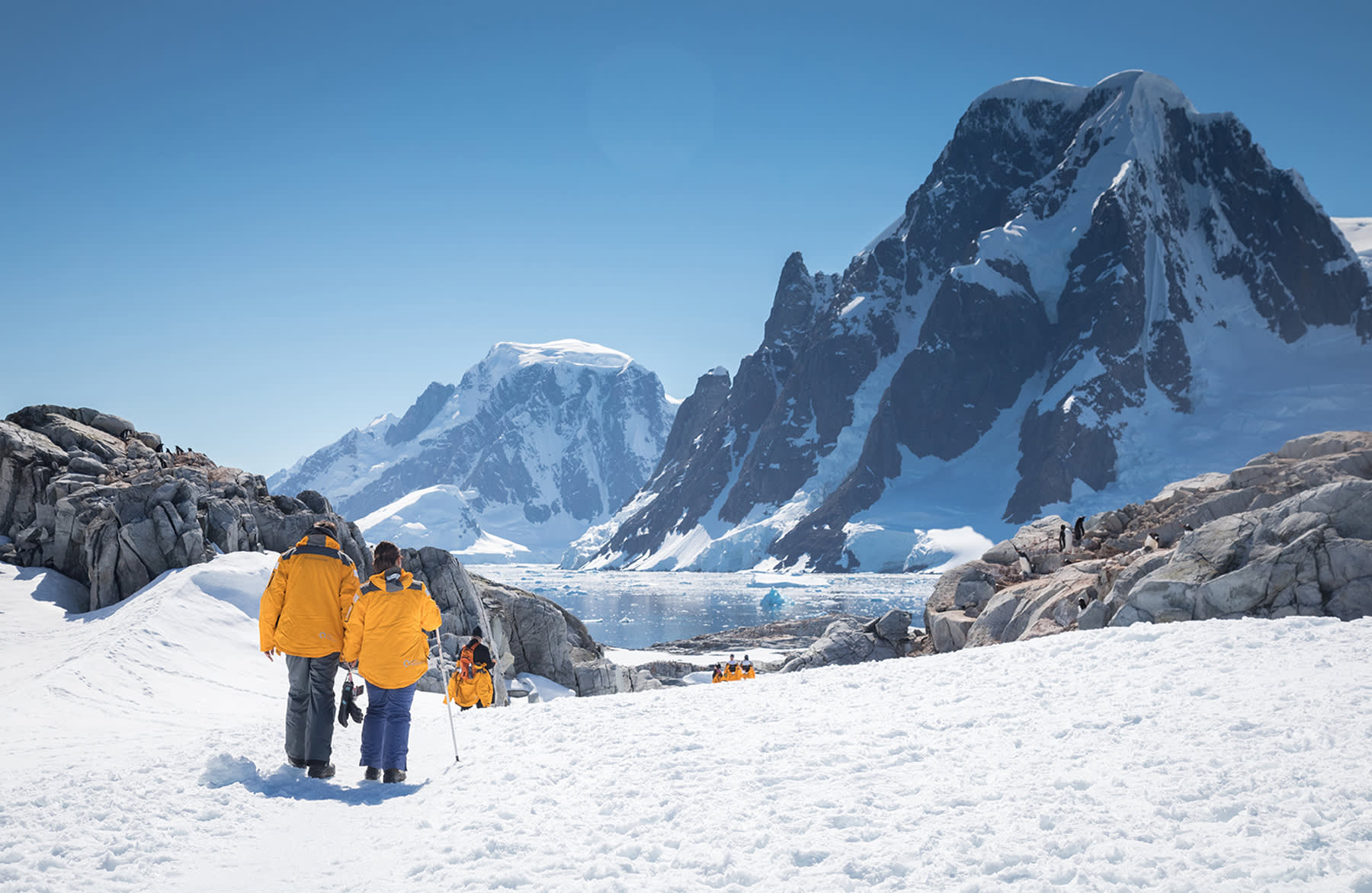 Antarctic Express: Sail South, Fly North