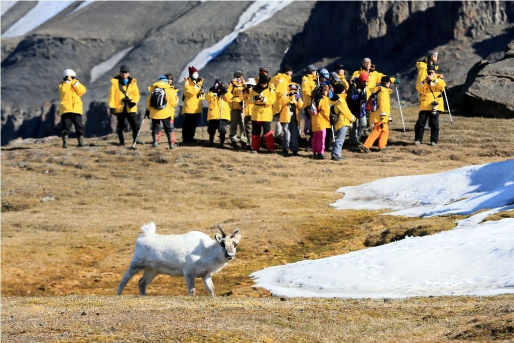 Spitsbergen Circumnavigation: A Rite of Passage