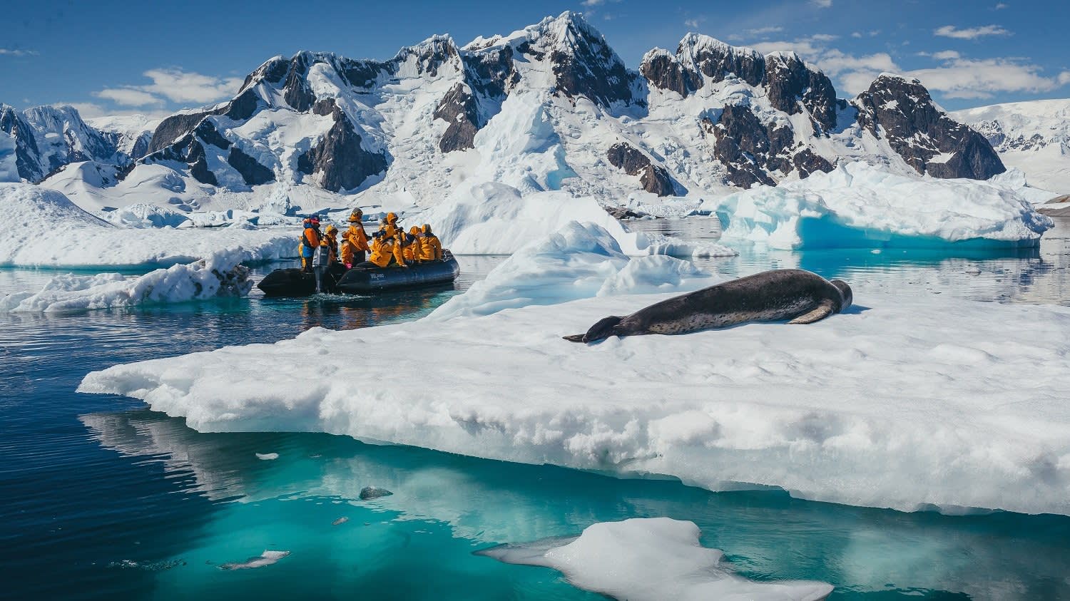 Falklands, South Georgia, and Antarctica: Explorers and Kings