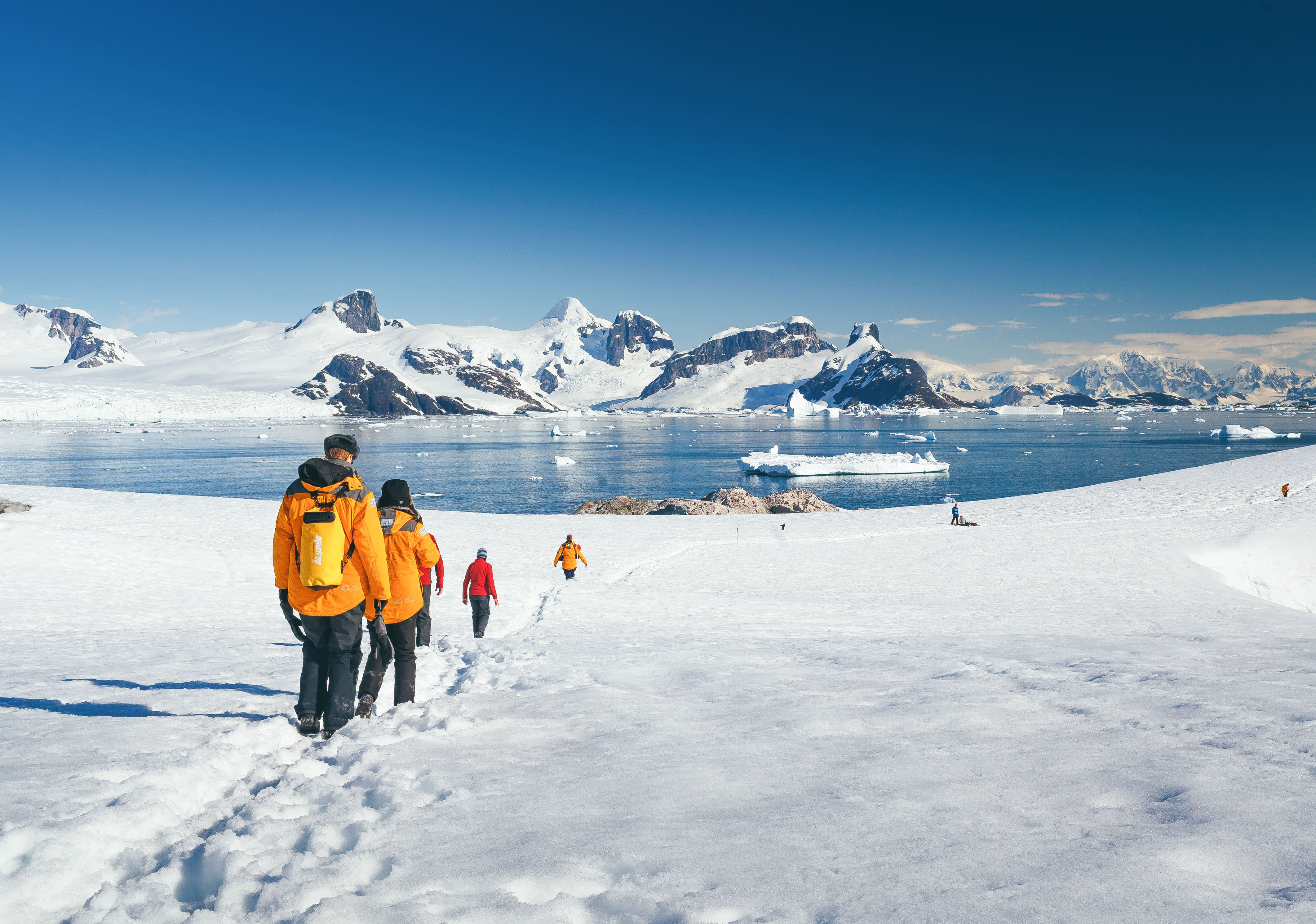 Falklands, South Georgia, and Antarctica: Explorers and Kings