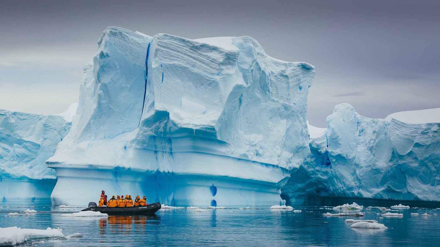 Falklands, South Georgia, and Antarctica: Explorers and Kings