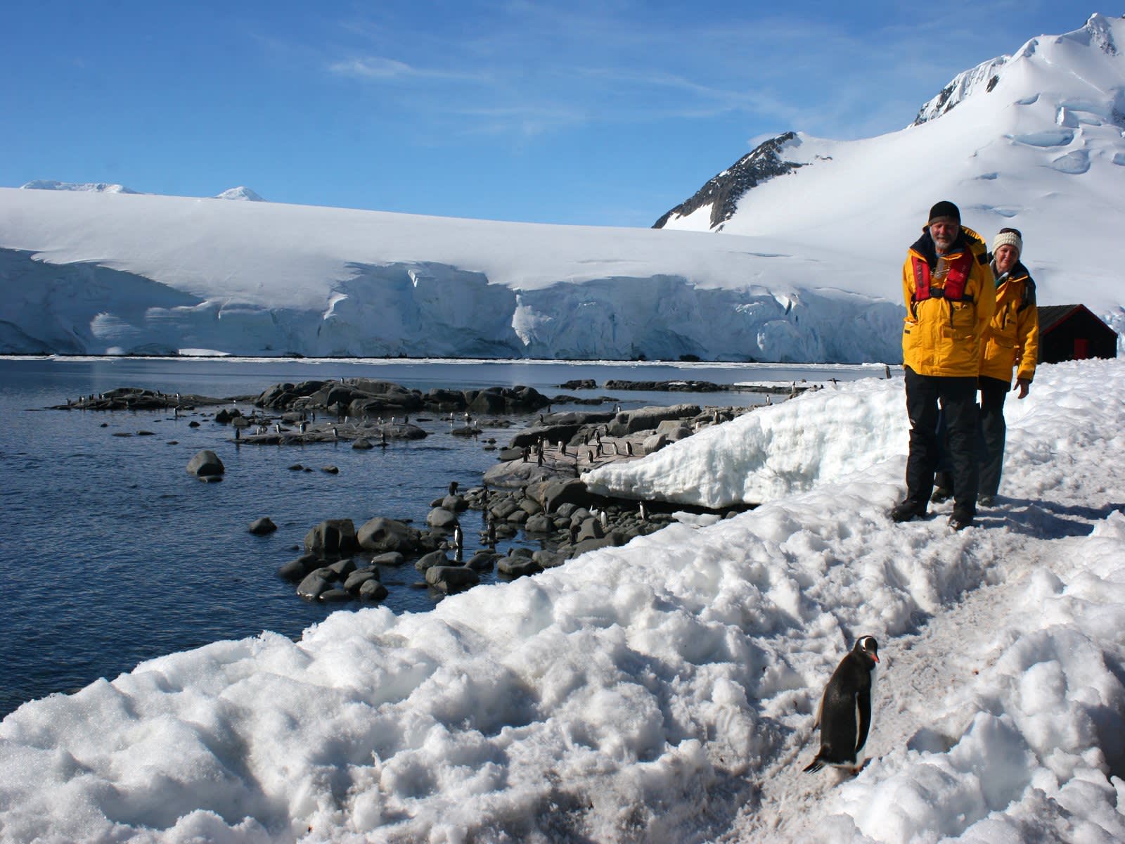 Antarctic Express: Sail South, Fly North