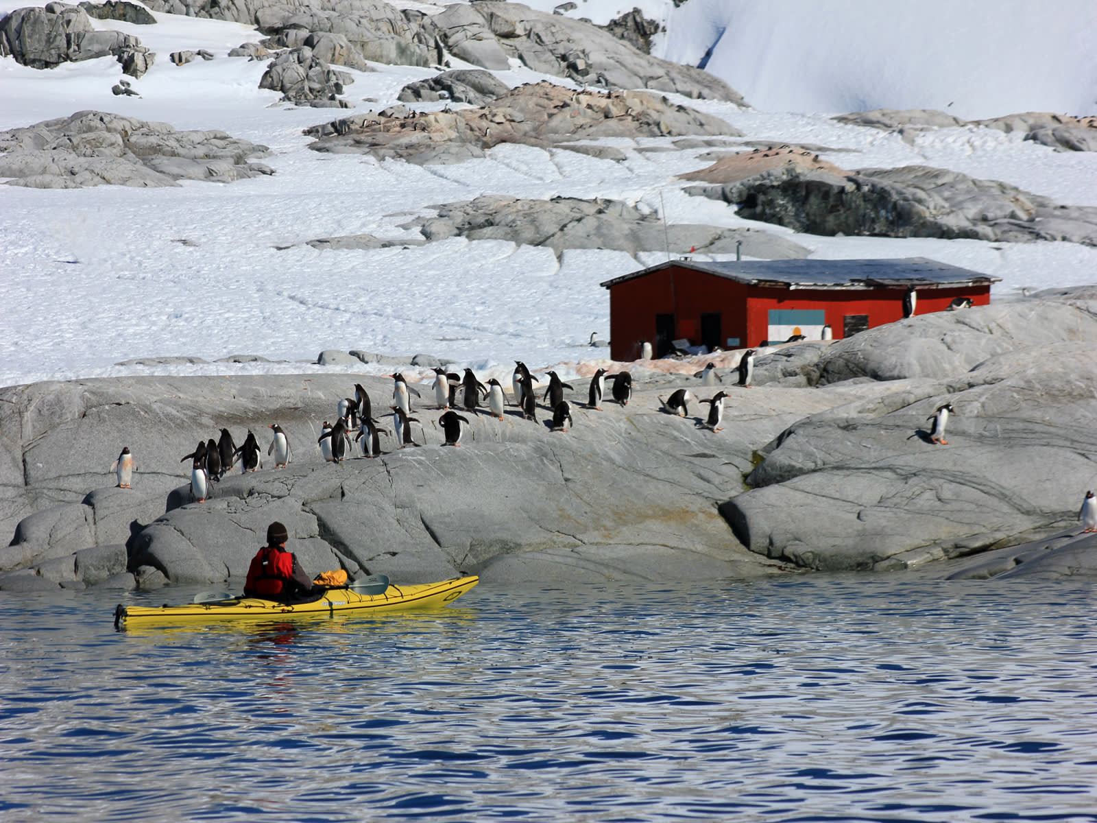 Antarctic Express: Sail South, Fly North