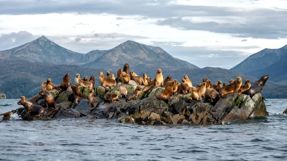 Essential Patagonia: Chilean Fjords and Torres del Paine