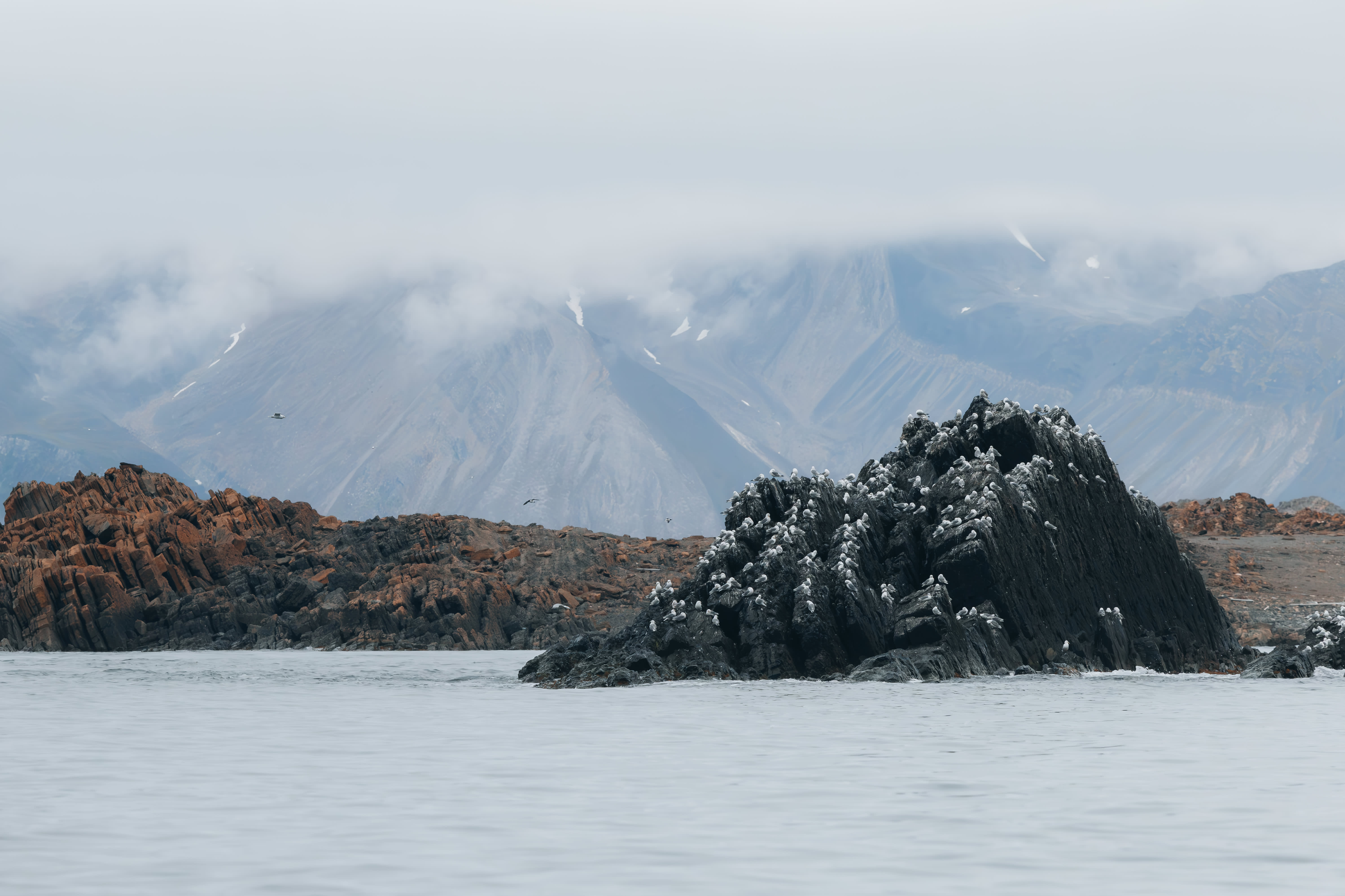 Arctic Saga: Exploring Spitsbergen via the Faroes and Jan Mayen