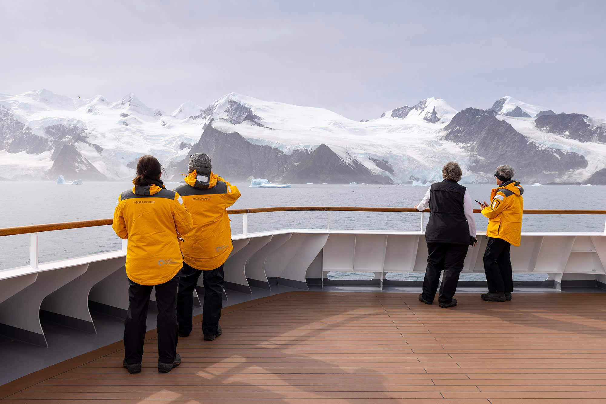 Antarctic Marine Mammals: The World of Whales and Seals