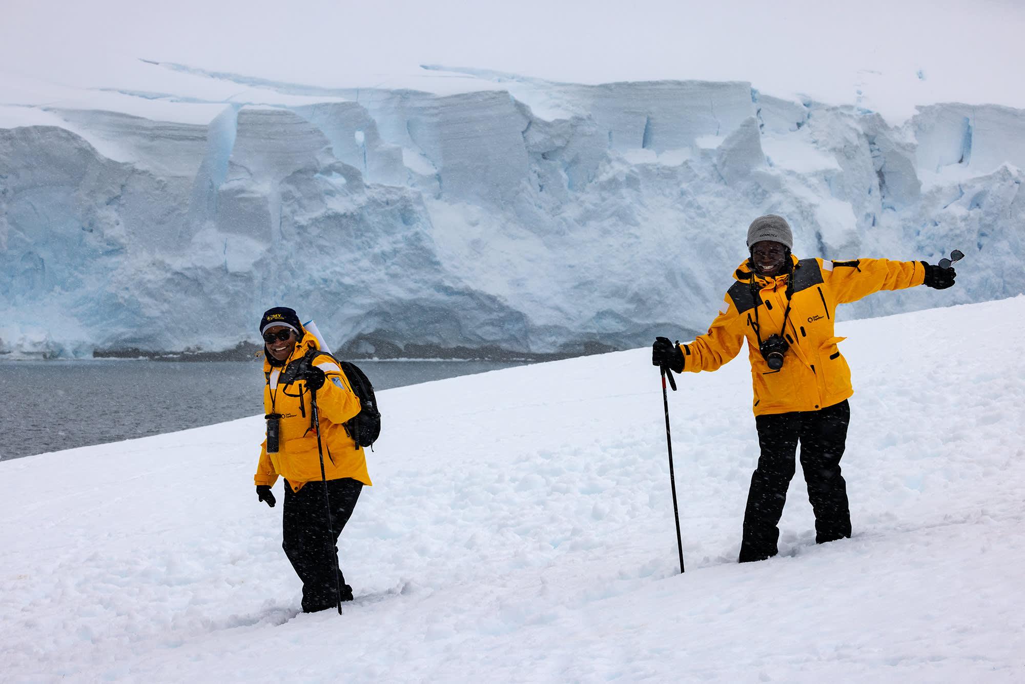 Antarctic Marine Mammals: The World of Whales and Seals