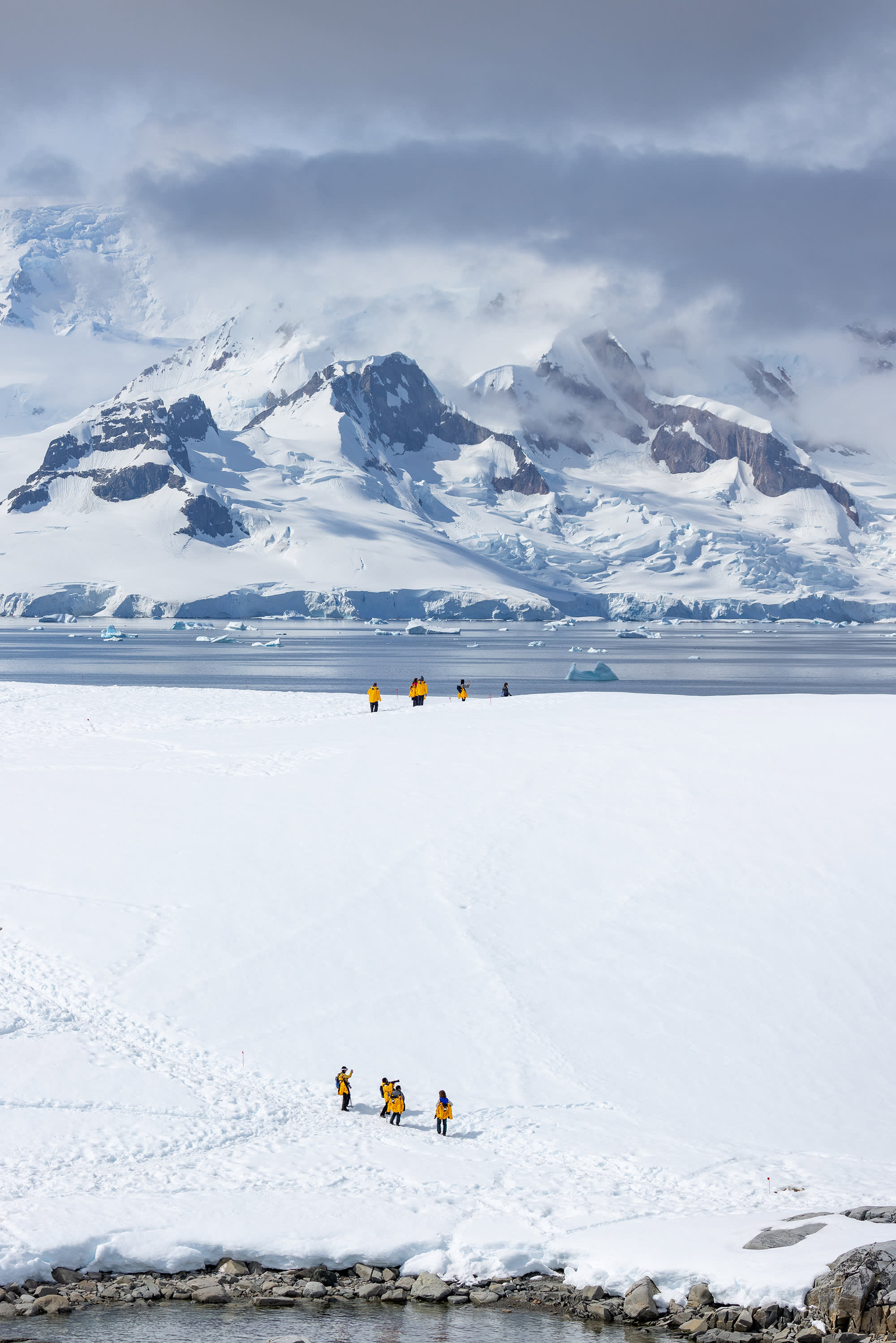 Antarctic Marine Mammals: The World of Whales and Seals
