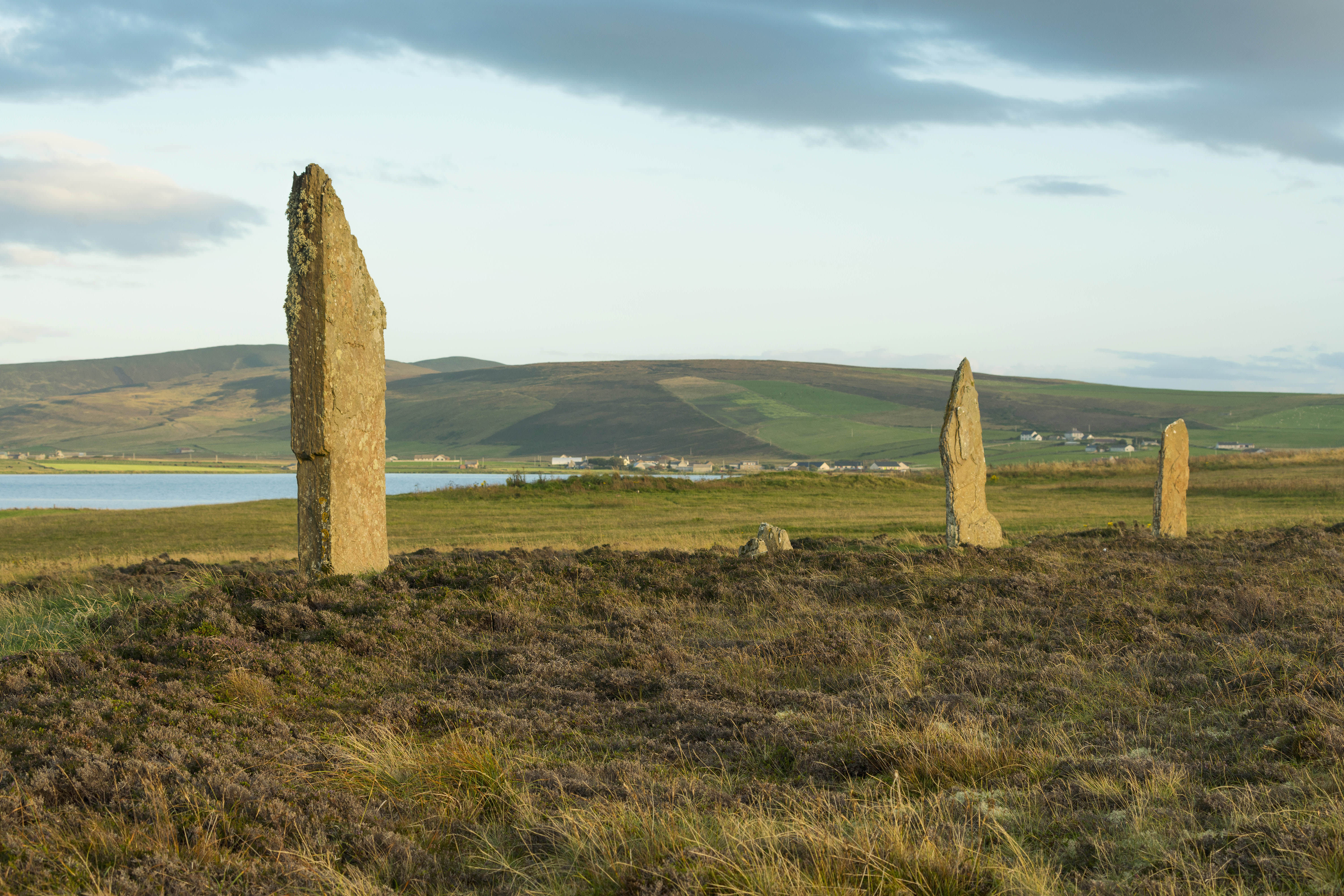 Scotland to Spitsbergen: Puffins, Sea Ice and Wildlife