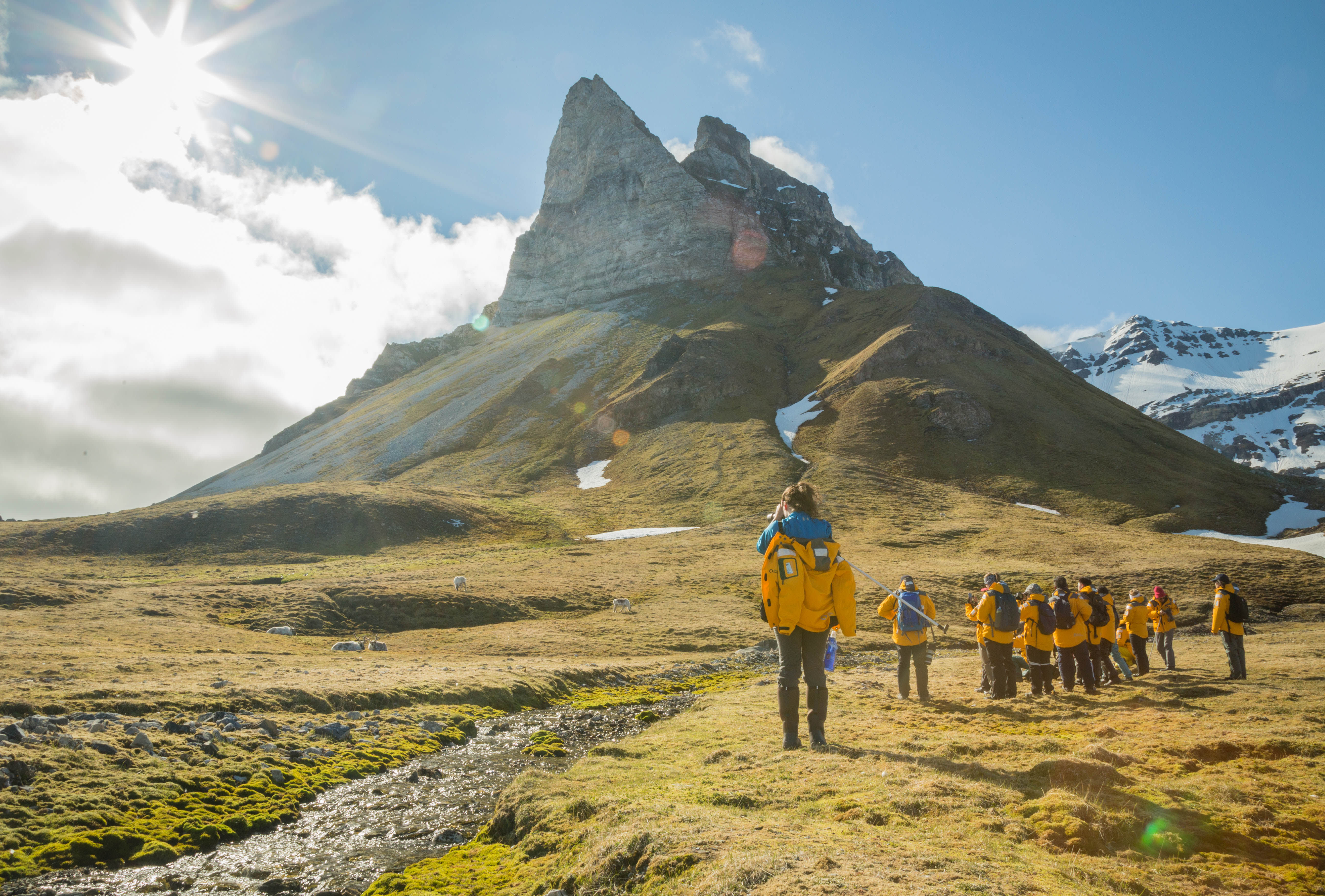 Svalbard in Summer: Tundra, Whales and Wildlife
