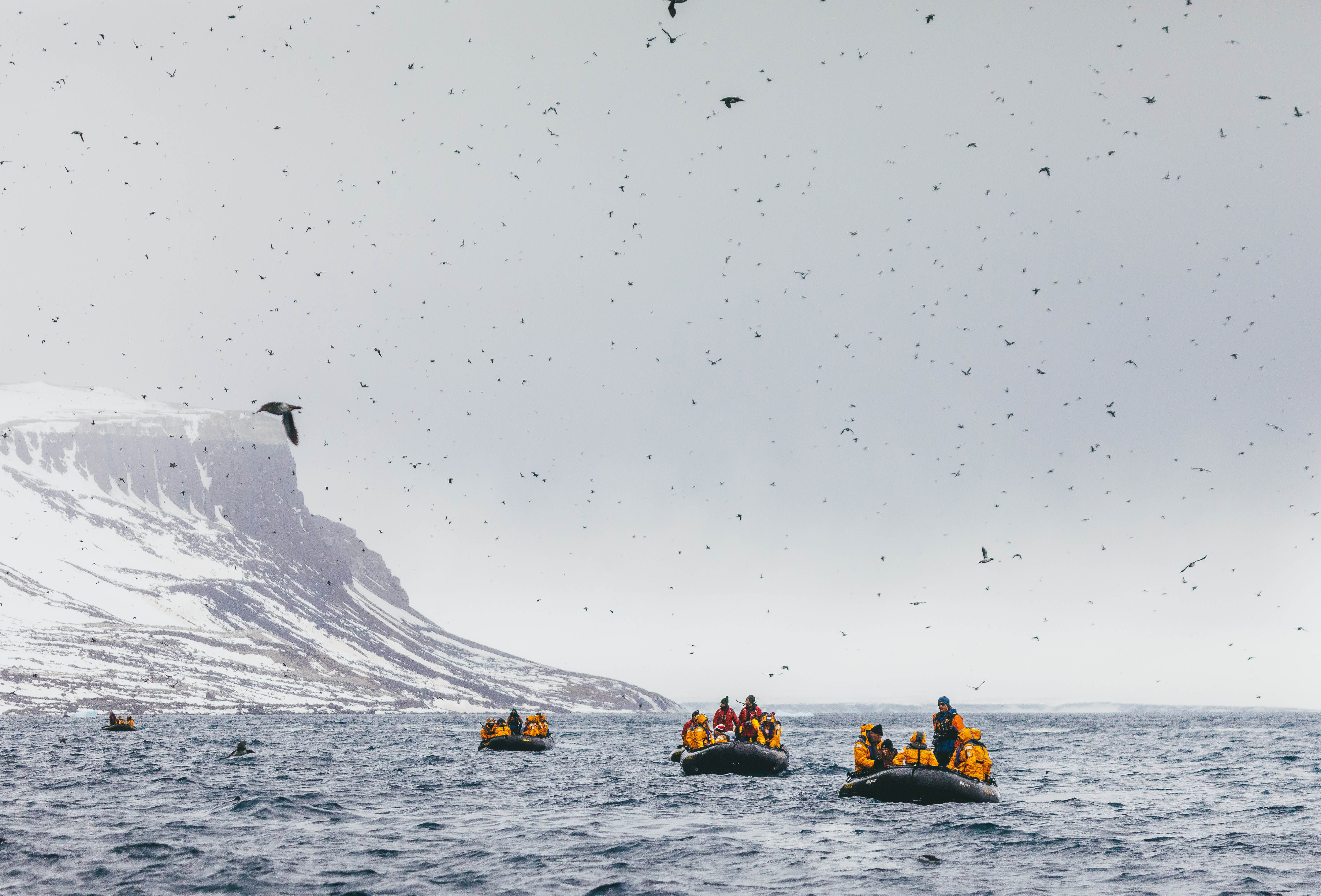 Svalbard in Spring: Sea Ice, Pristine Snow and Wildlife