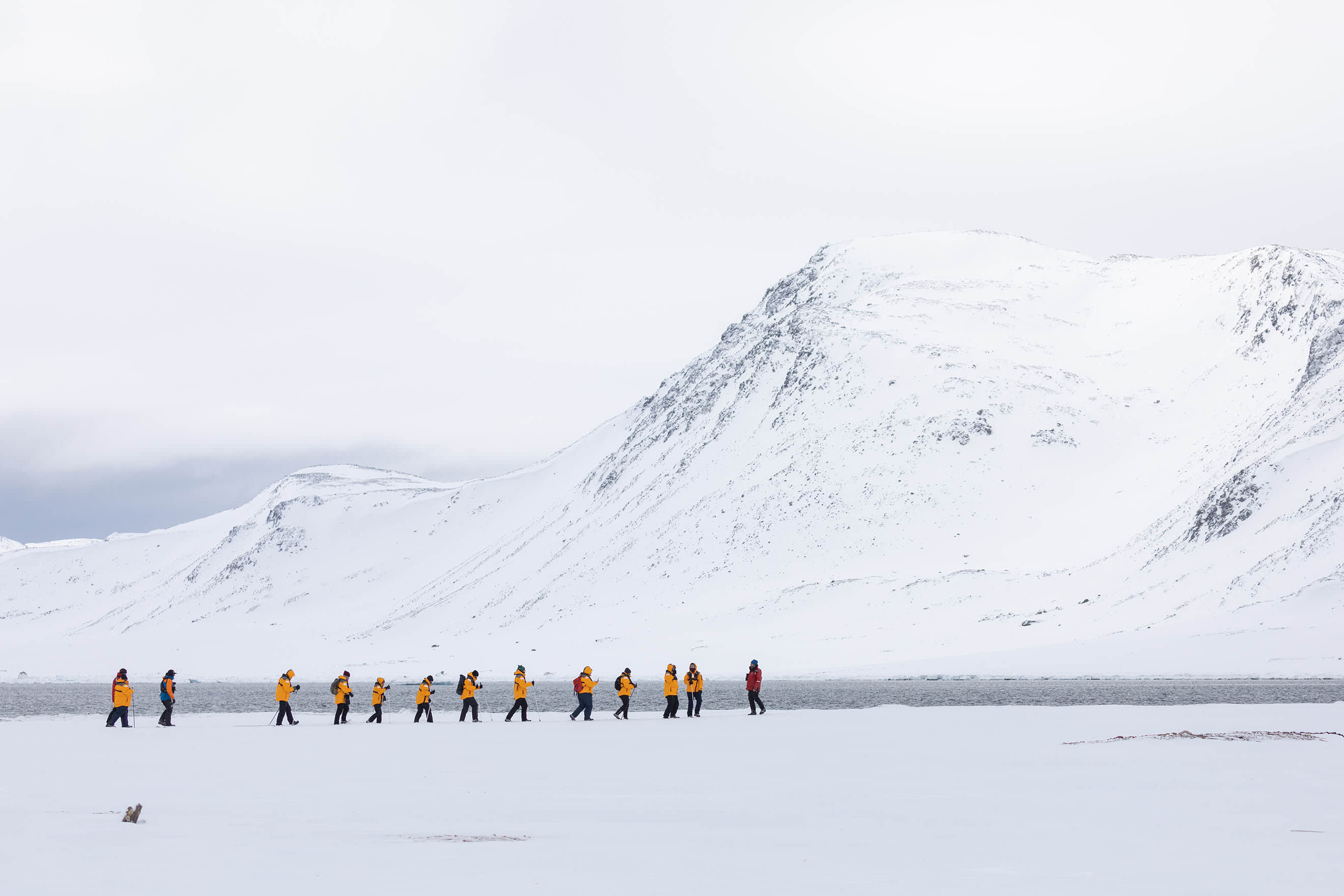 Scotland to Spitsbergen: Puffins, Sea Ice and Wildlife