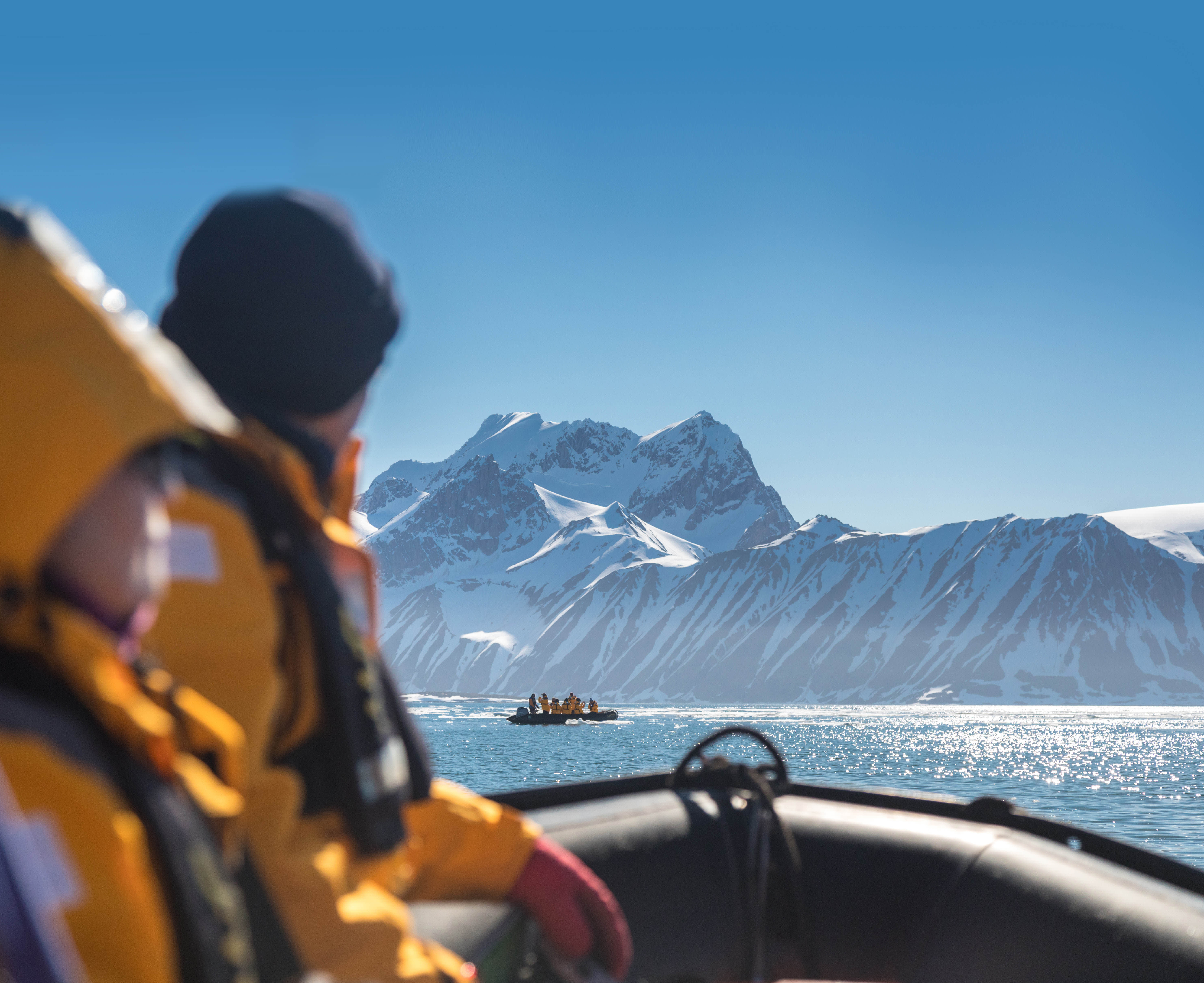 Svalbard in Summer: Tundra, Whales and Wildlife