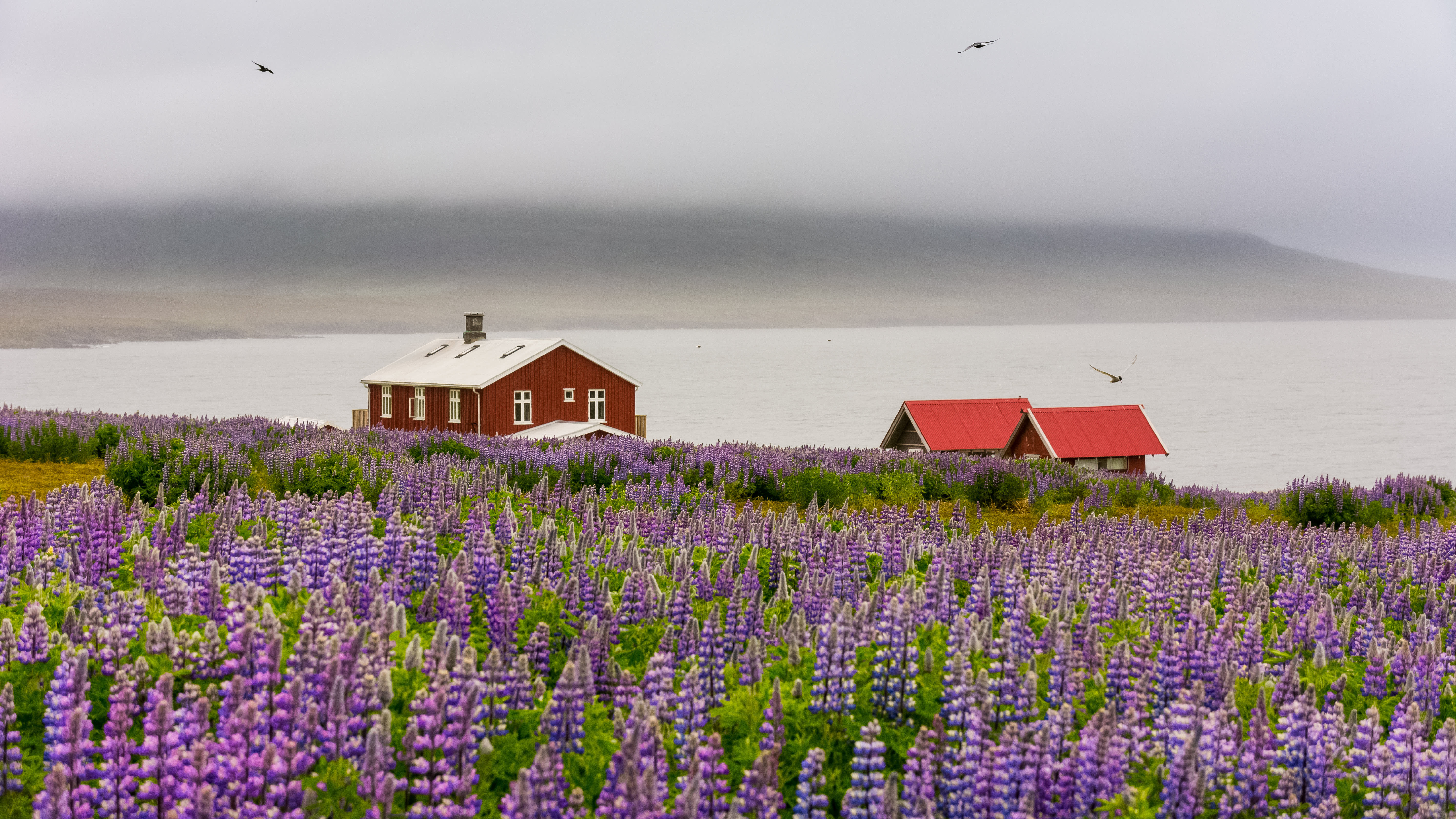 Iceland Circumnavigation: Mountains, Volcanoes and Waterfalls