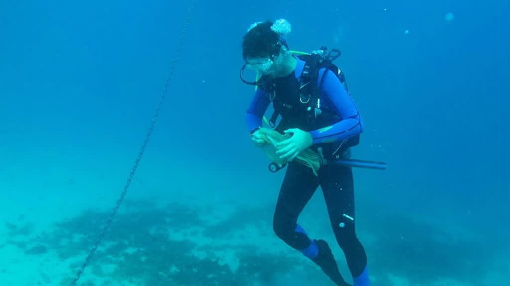 Diver ocean clean up