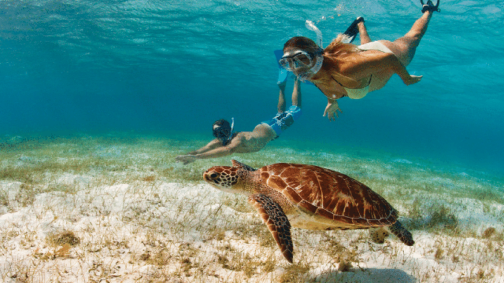 scuba diving