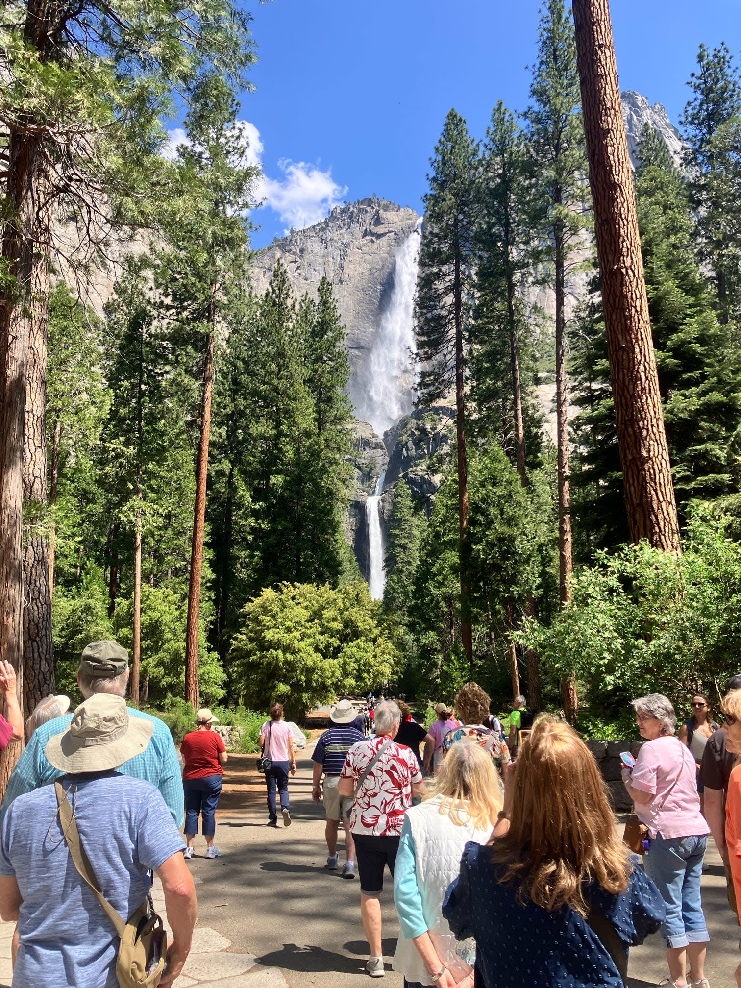 California and National Parks