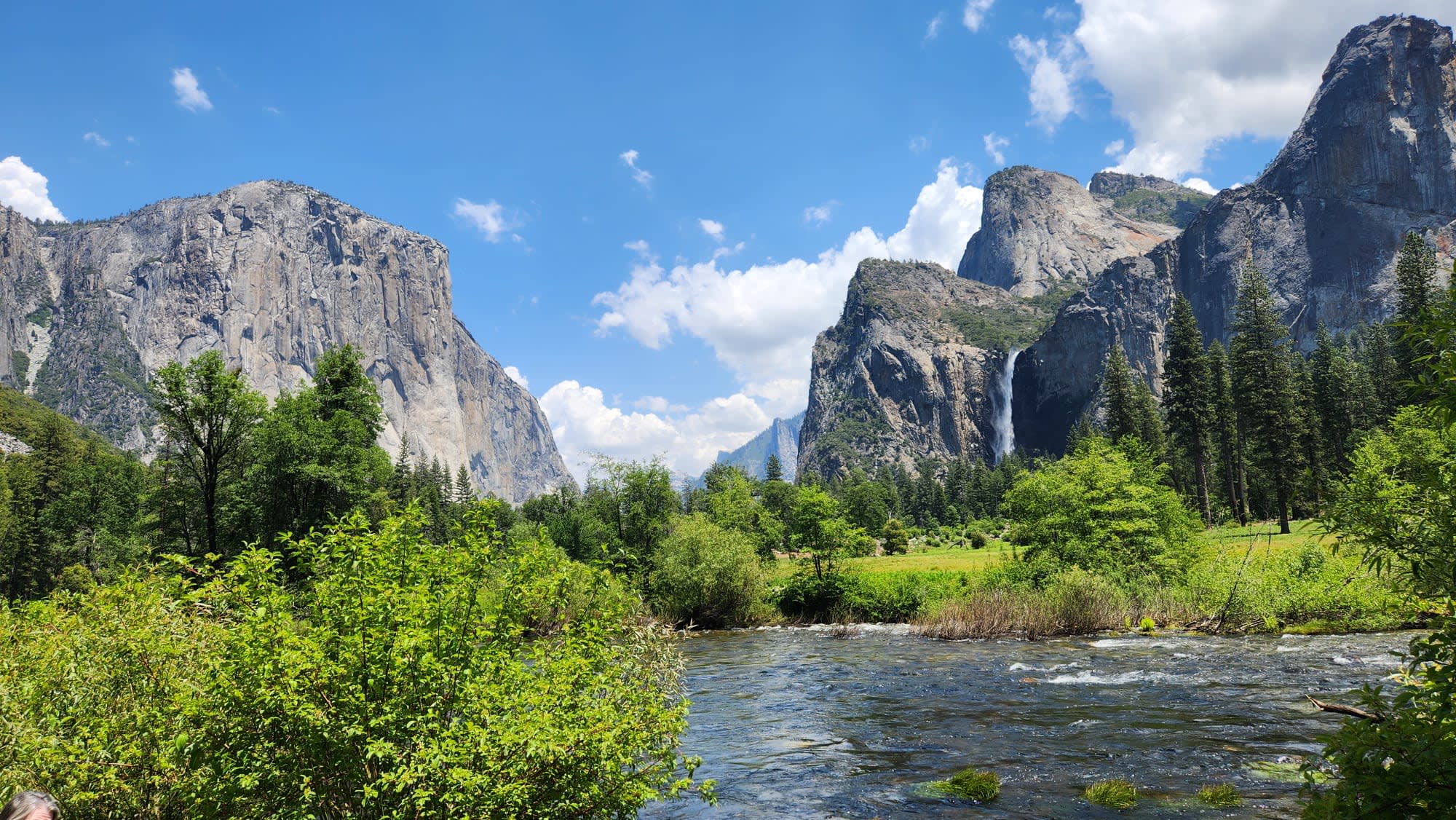 California and National Parks