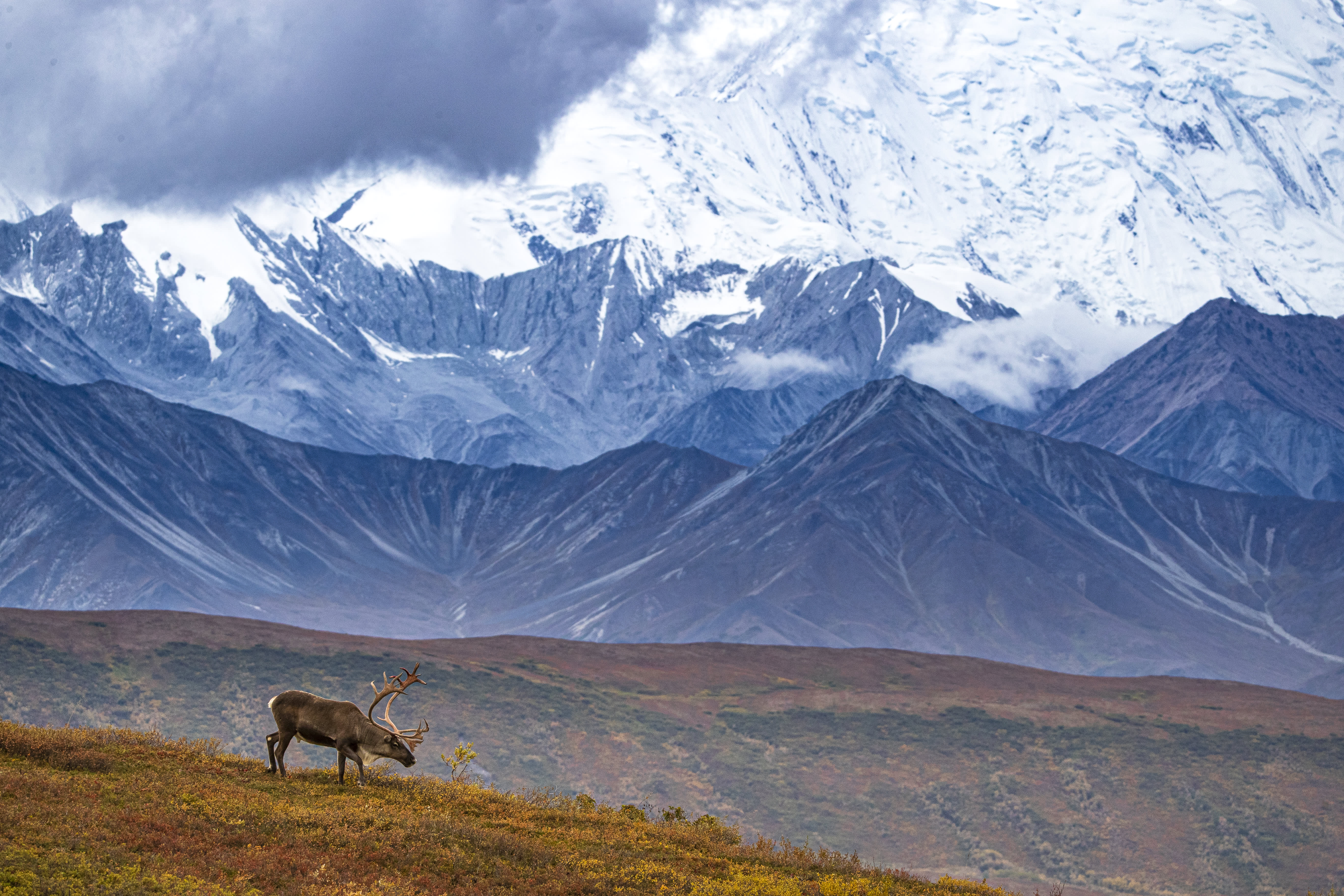 Alaskan Discovery Tour