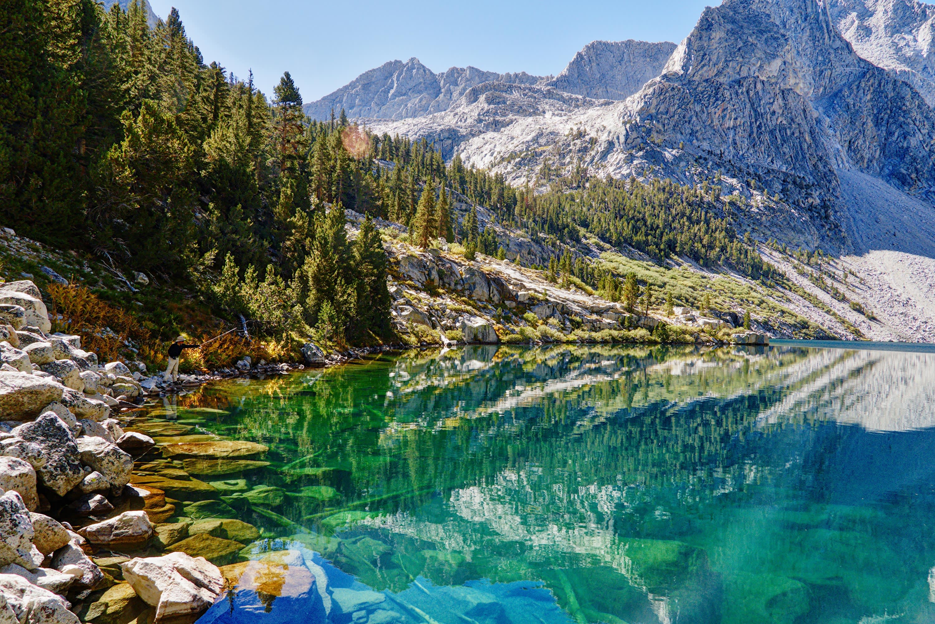 California and National Parks