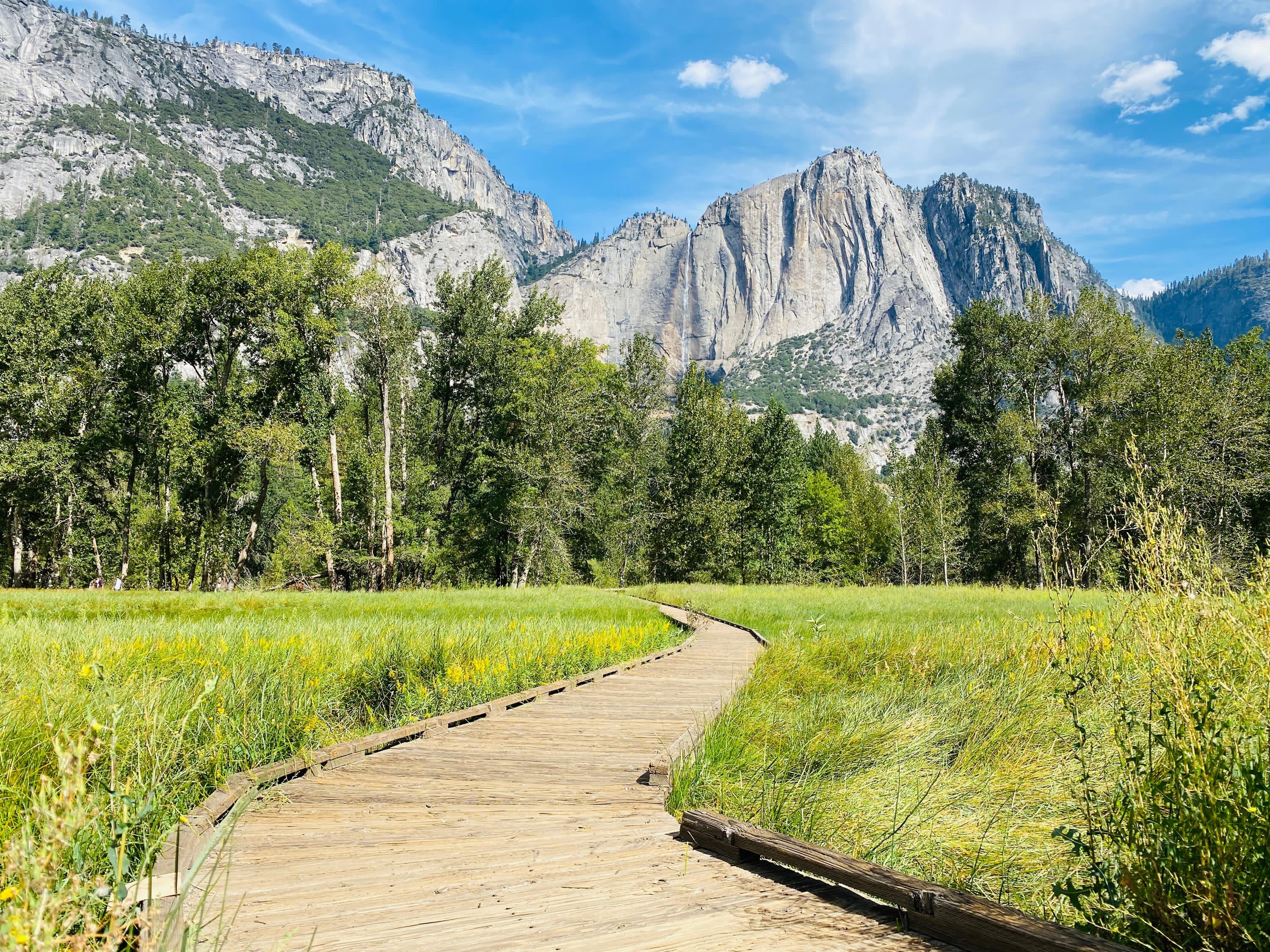 California and National Parks