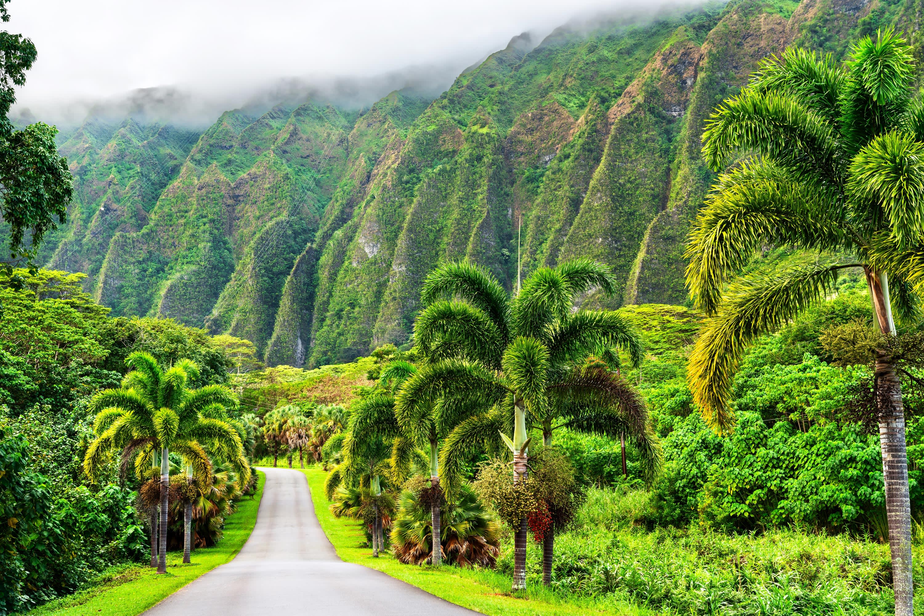 Best of Hawaii Four Island Tour