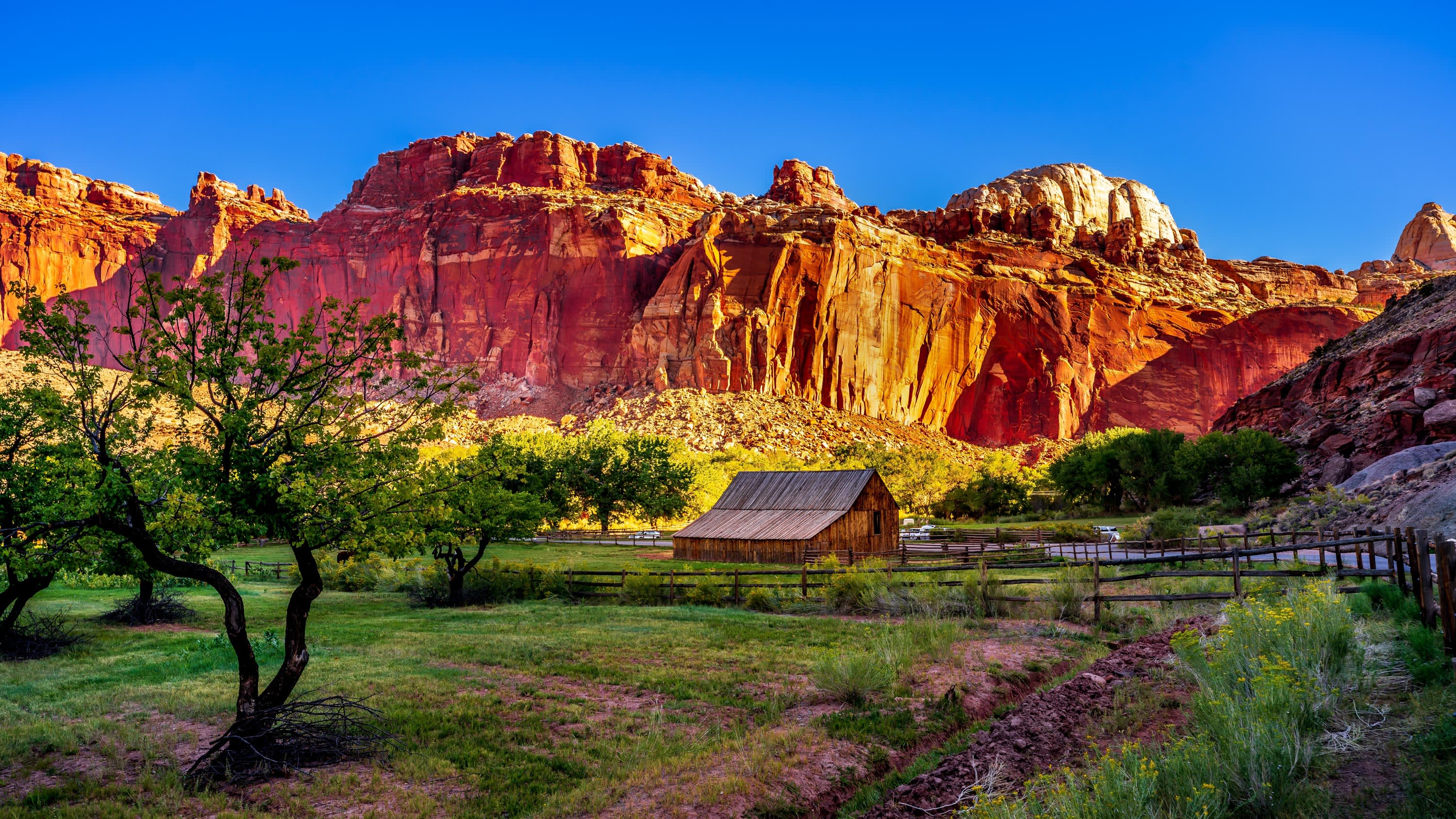 Crimson Canyons & Mesas National Parks Tour
