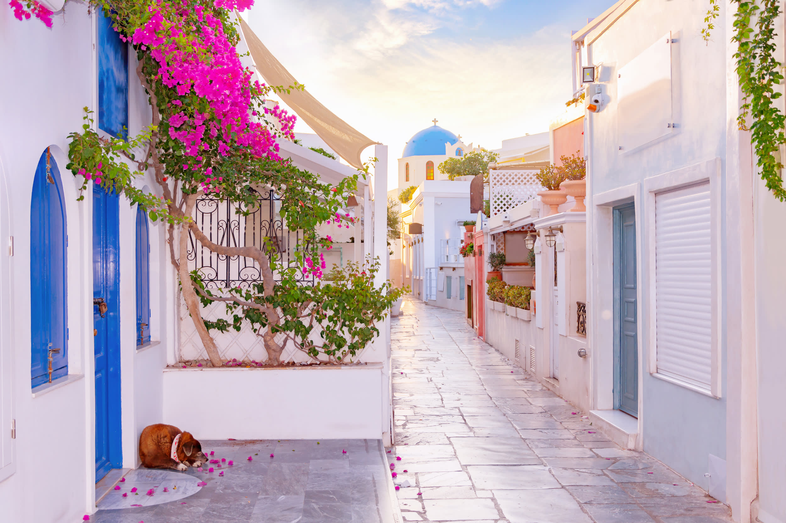 Narrow scenic street of Oia Village on Santorini Island at sunset, Greece