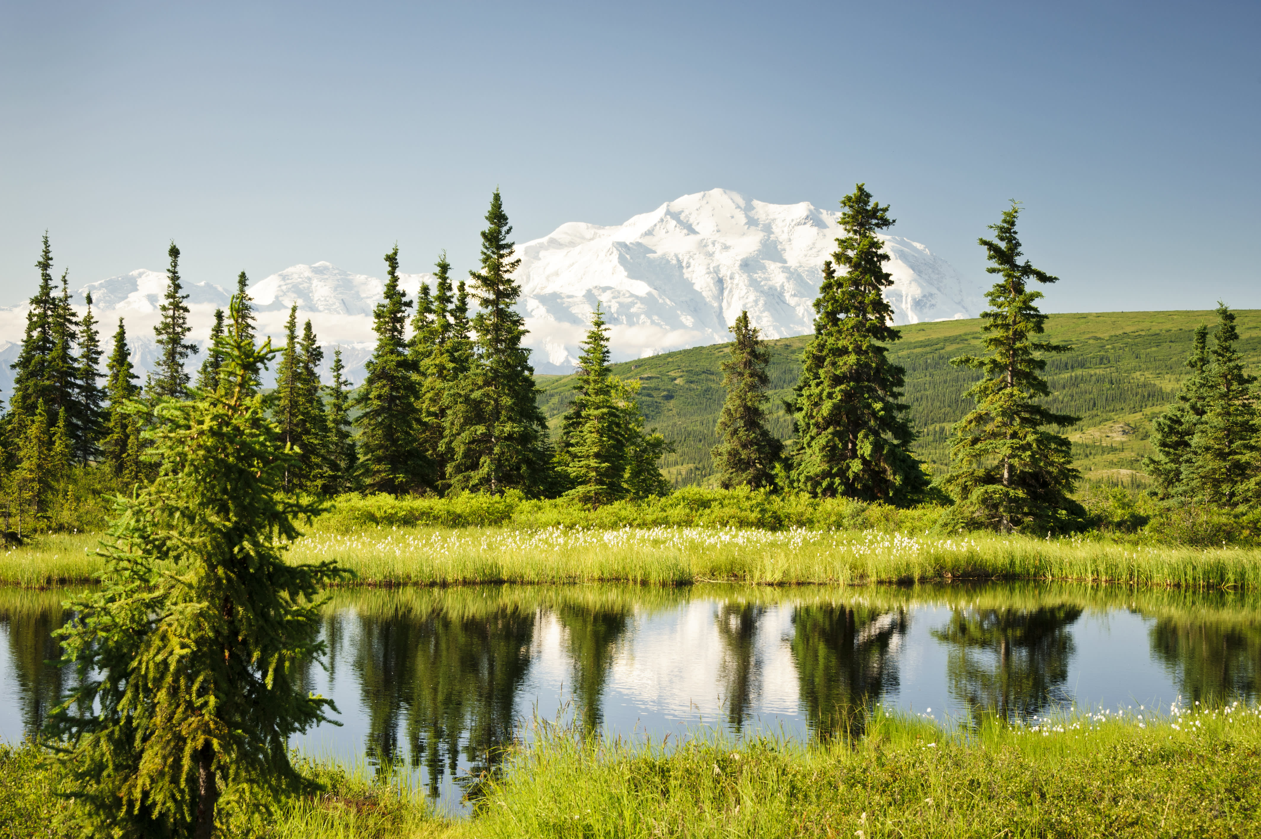 Alaskan Discovery Tour