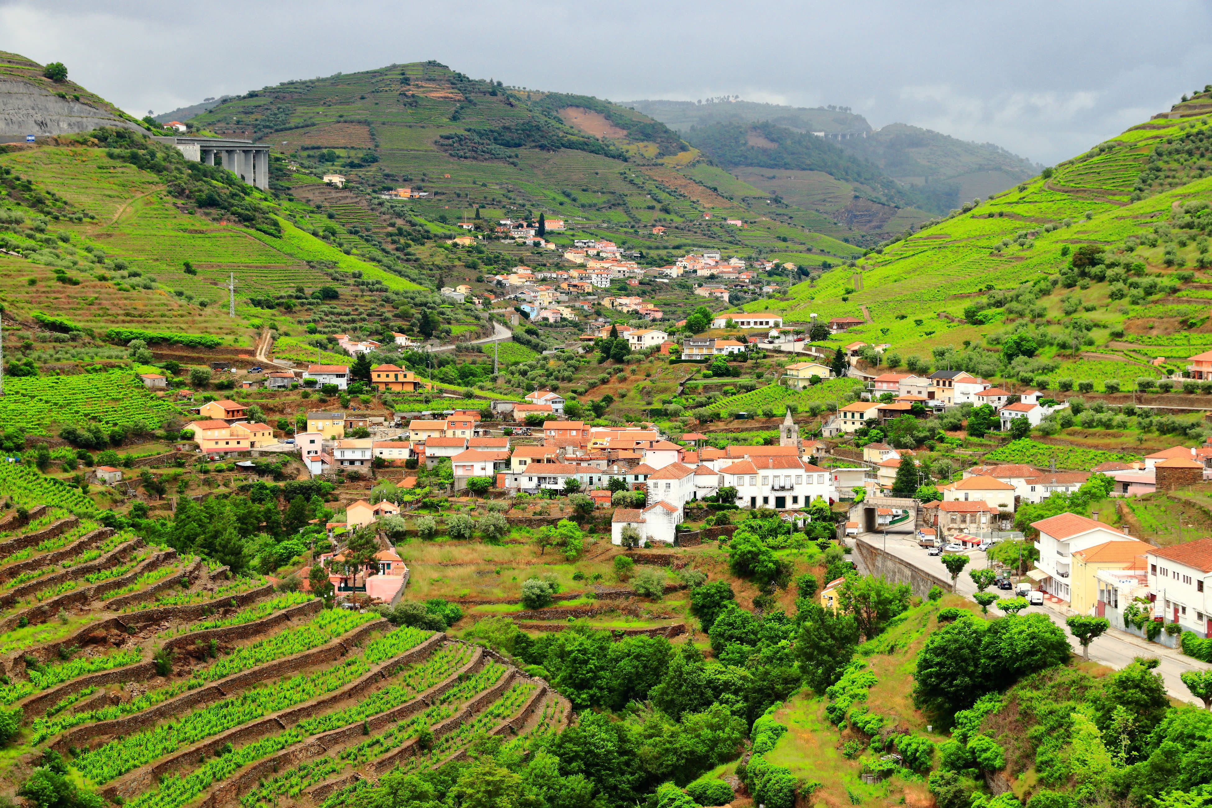 Portugal & The Douro River Valley