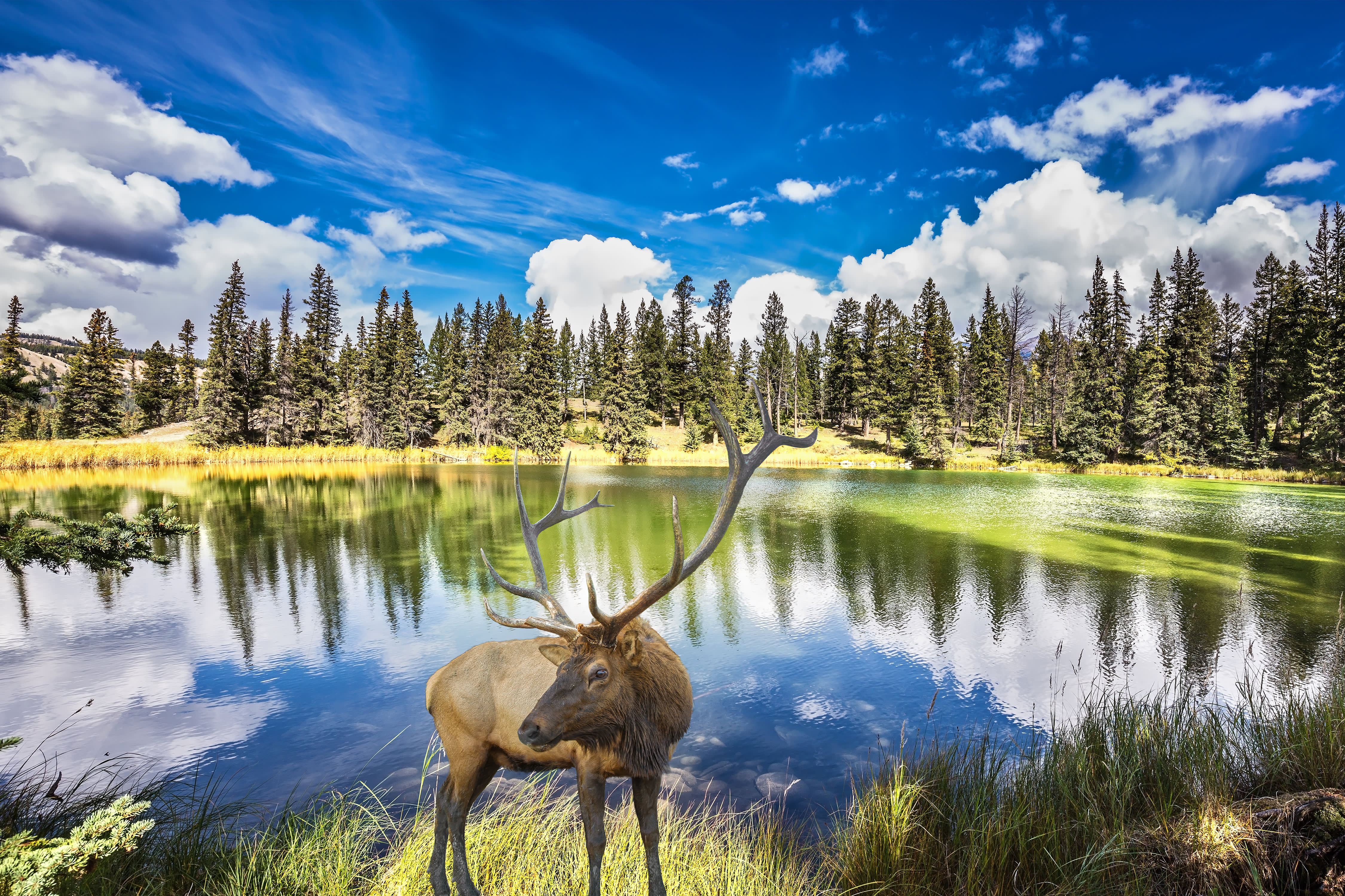 Canadian Rockies Tour
