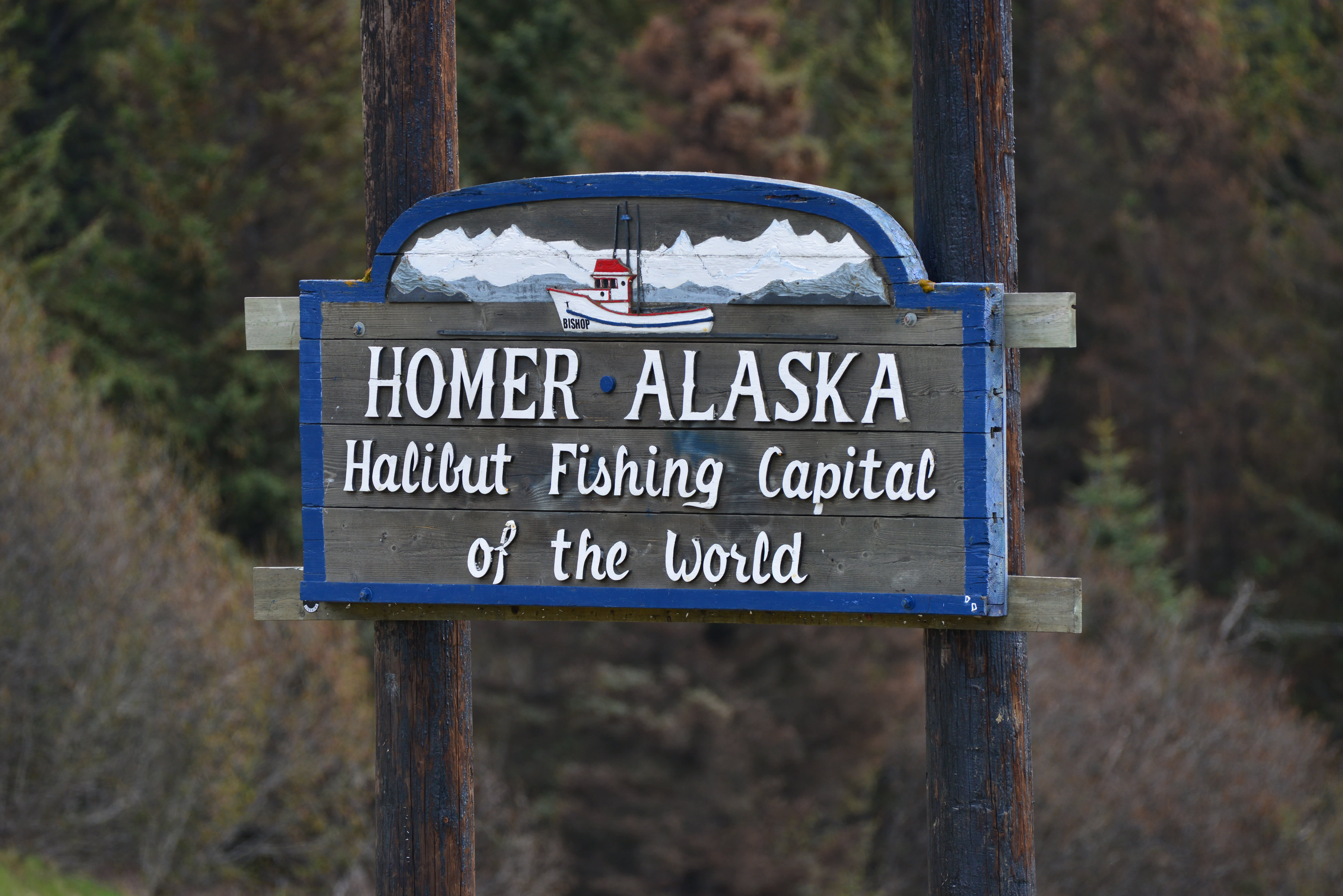 Alaskan Discovery Tour