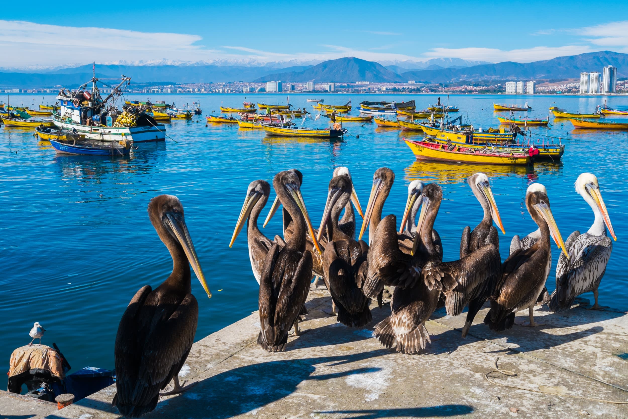 Coquimbo-Chile