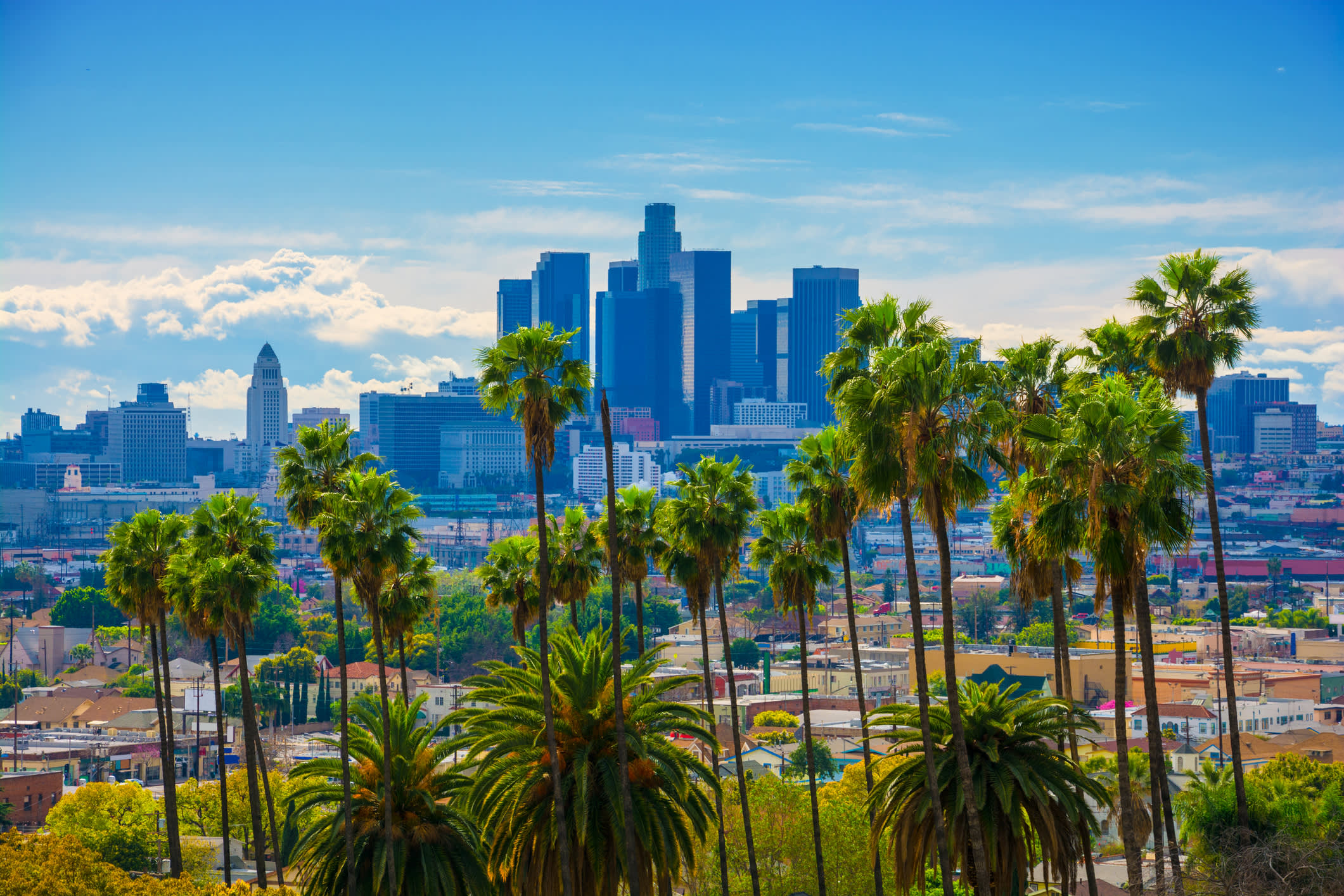 Los Angeles Skyline Backlit Aerial with Vivid Green Palm Trees