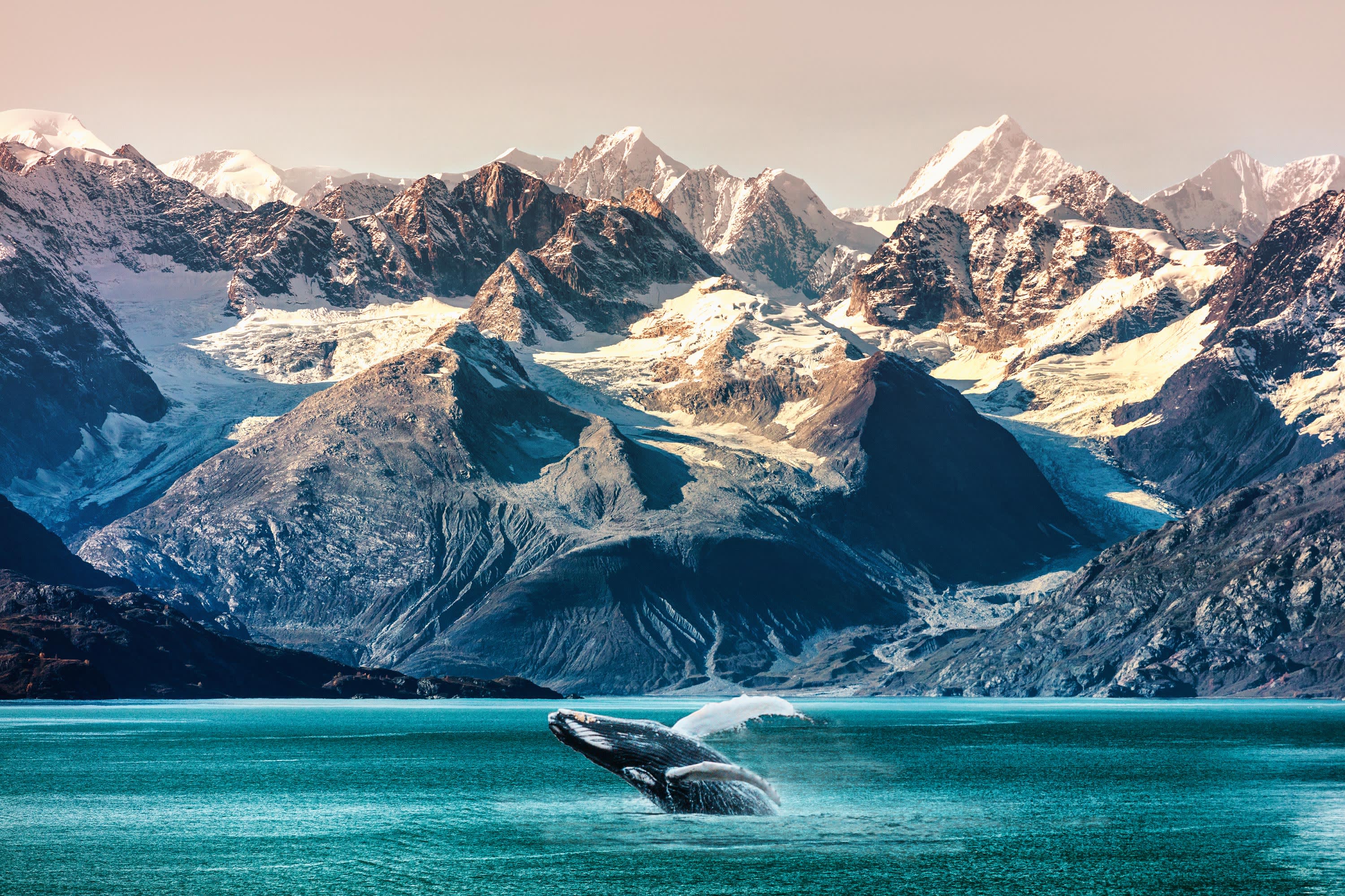 Majestic Alaska Cruise & Tour